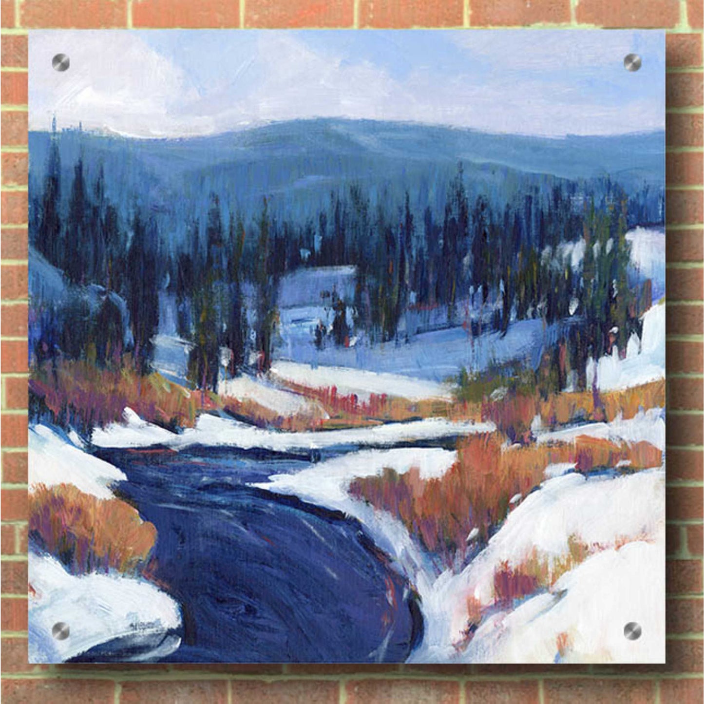 Epic Art 'Mountain Creek II' by Tim O'Toole, Acrylic Glass Wall Art,36x36