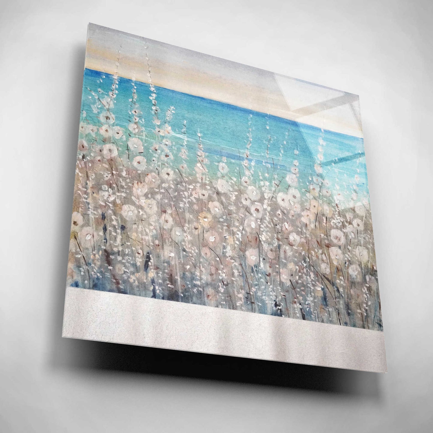 Epic Art 'Flowers by the Sea I' by Tim O'Toole, Acrylic Glass Wall Art,12x12