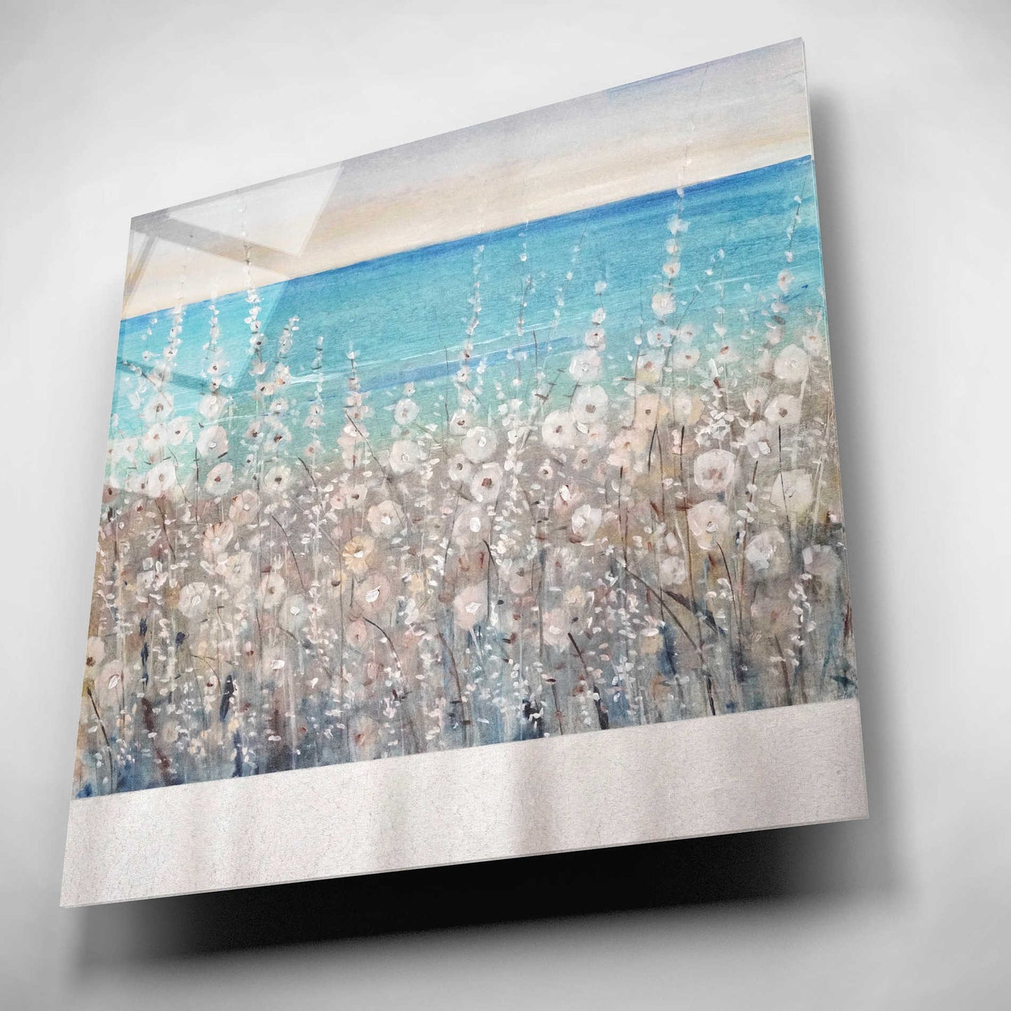 Epic Art 'Flowers by the Sea I' by Tim O'Toole, Acrylic Glass Wall Art,12x12