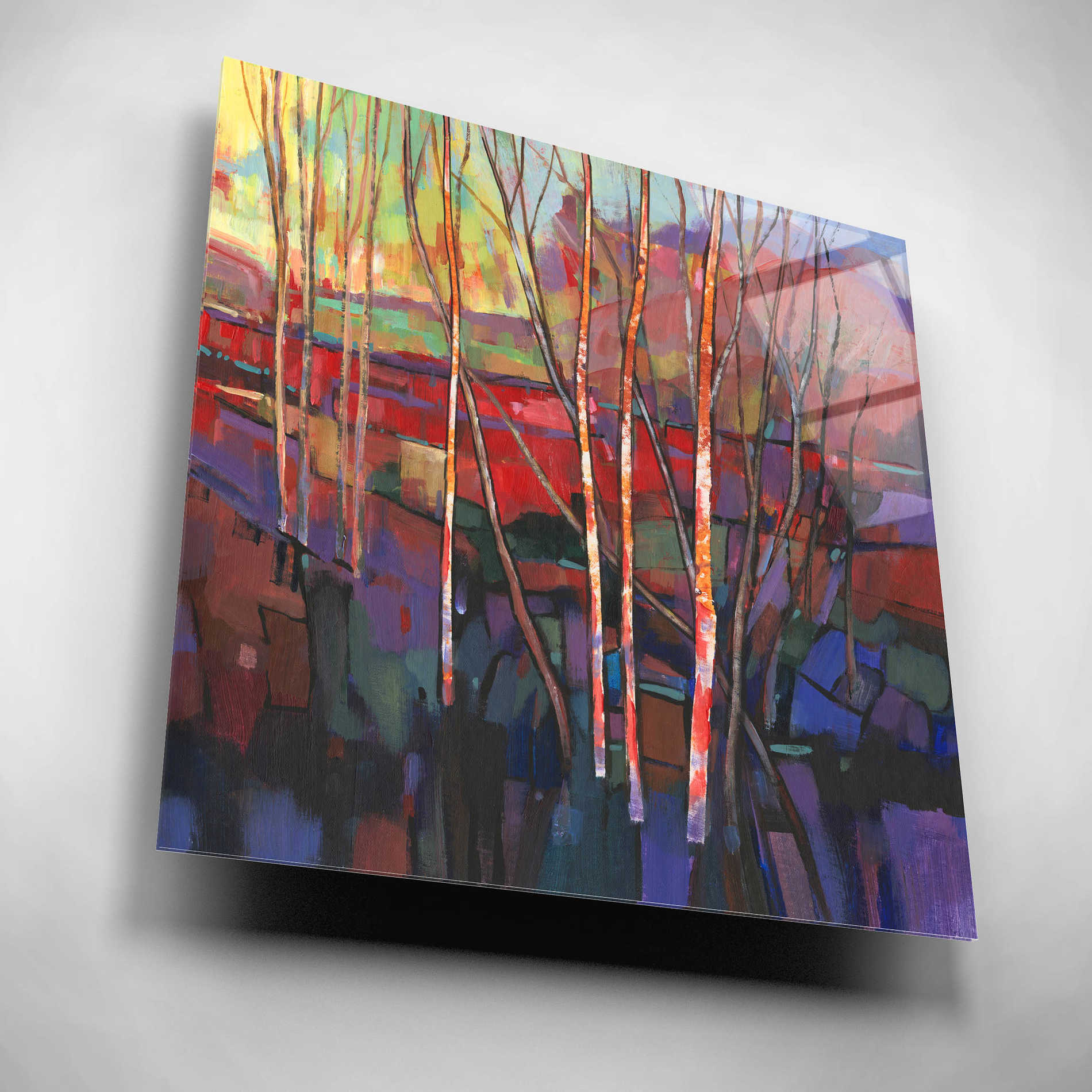 Epic Art 'Patchwork Trees I' by Tim O'Toole, Acrylic Glass Wall Art,12x12