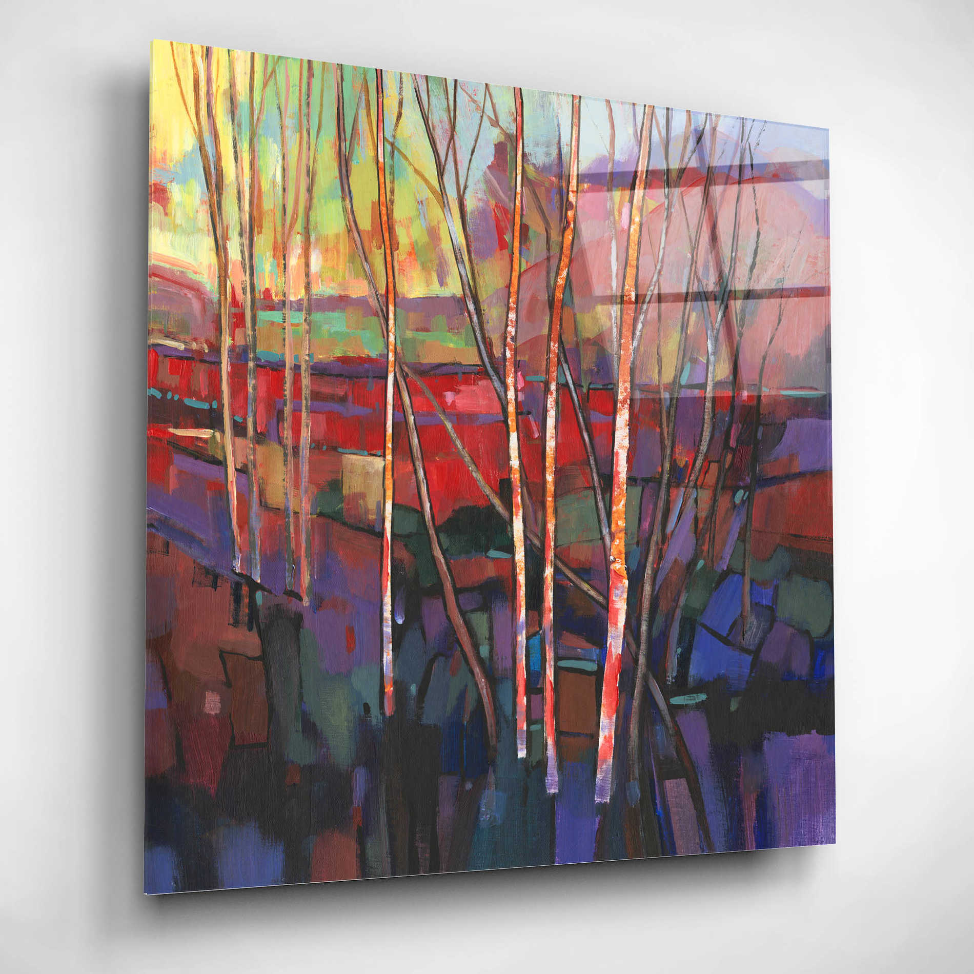 Epic Art 'Patchwork Trees I' by Tim O'Toole, Acrylic Glass Wall Art,12x12