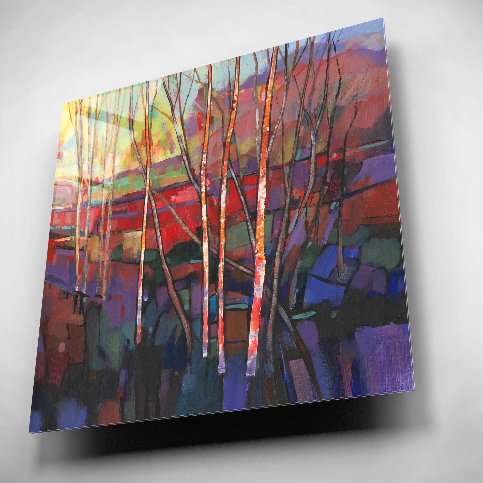 Epic Art 'Patchwork Trees I' by Tim O'Toole, Acrylic Glass Wall Art,12x12