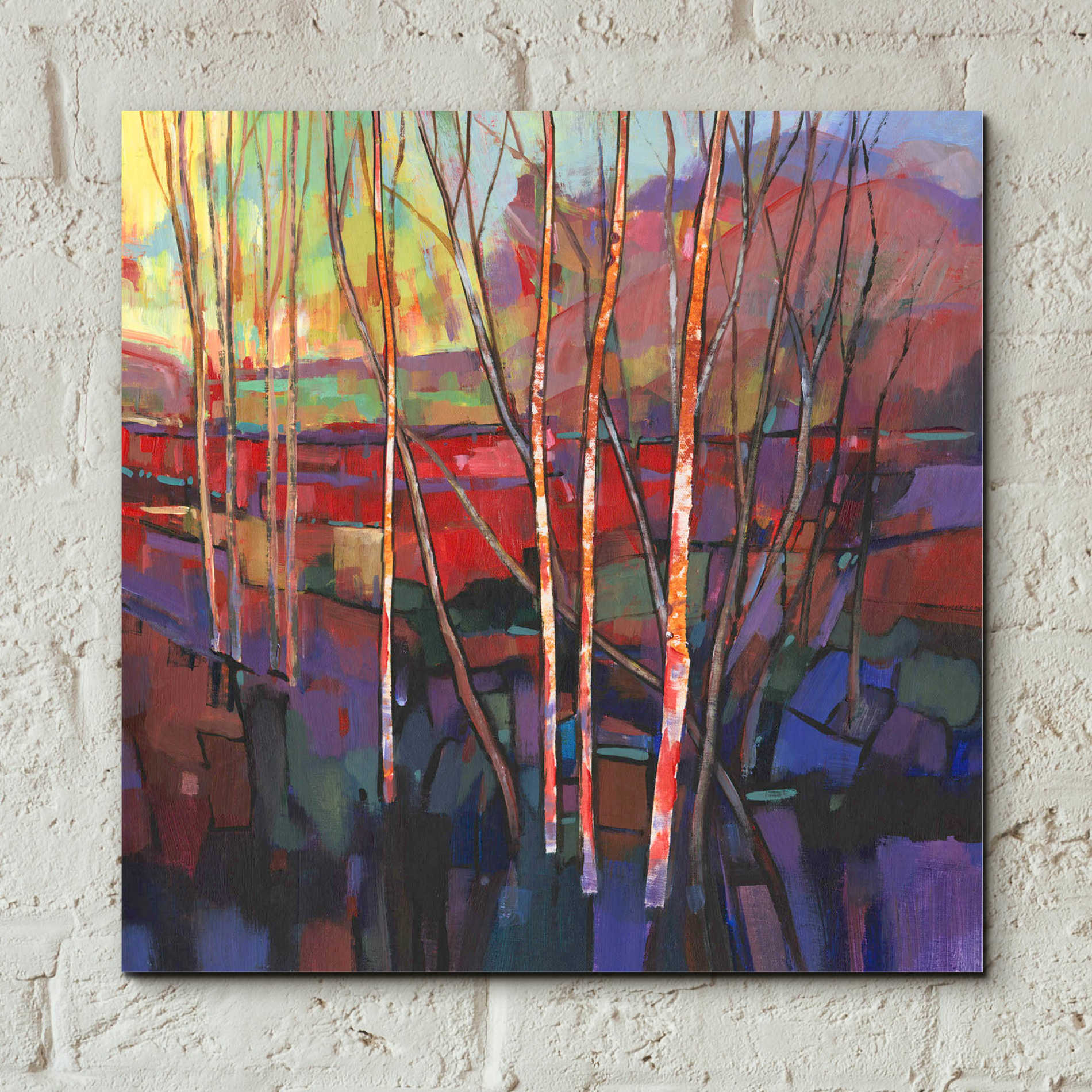 Epic Art 'Patchwork Trees I' by Tim O'Toole, Acrylic Glass Wall Art,12x12