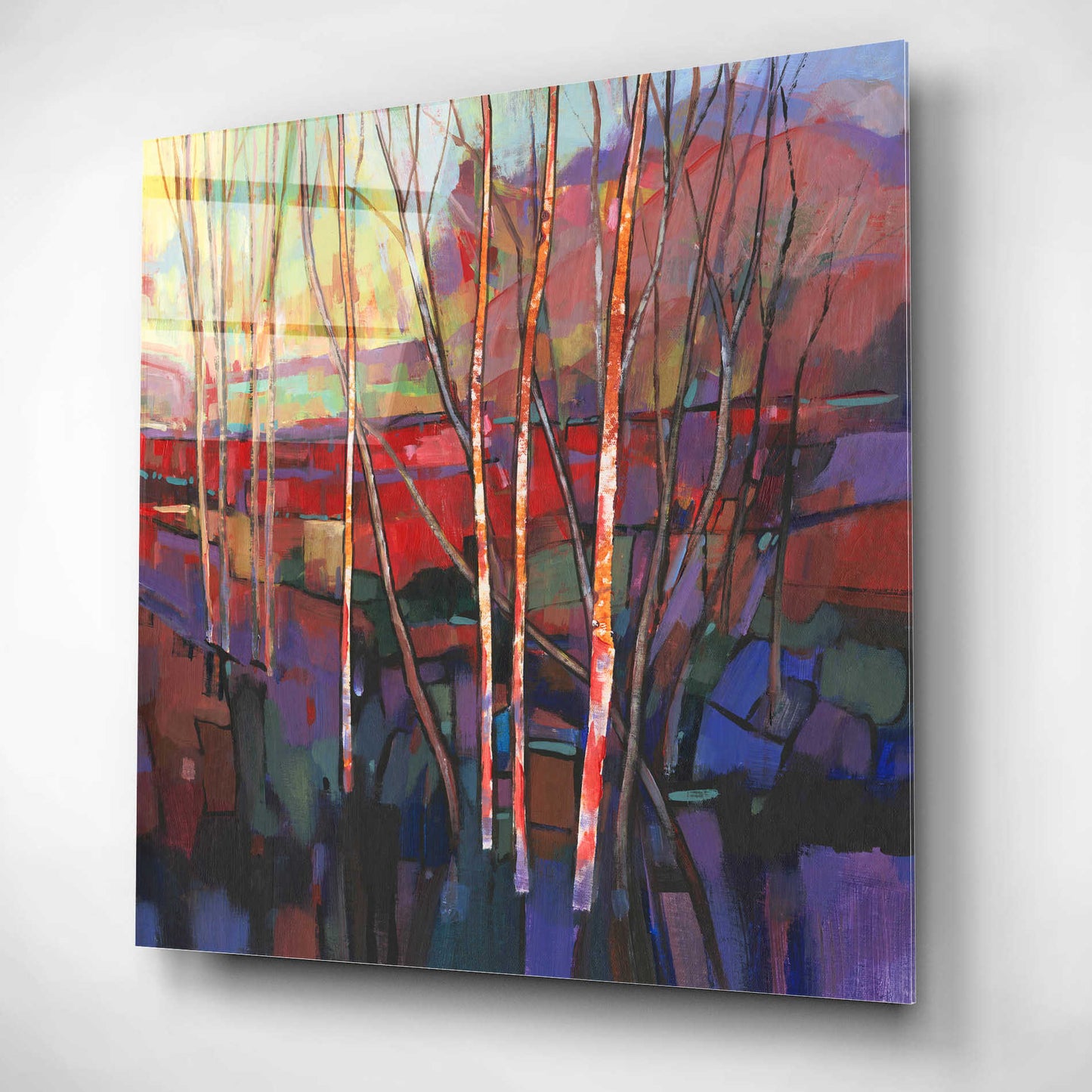 Epic Art 'Patchwork Trees I' by Tim O'Toole, Acrylic Glass Wall Art,12x12