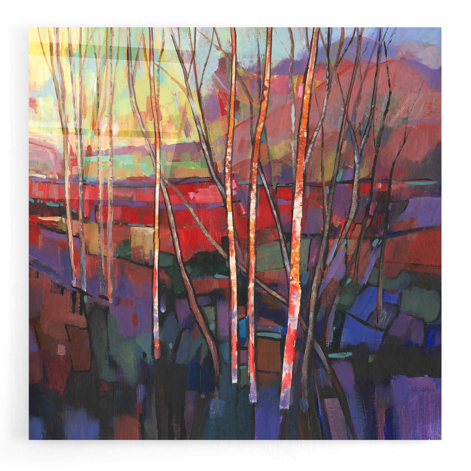 Epic Art 'Patchwork Trees I' by Tim O'Toole, Acrylic Glass Wall Art,24x24