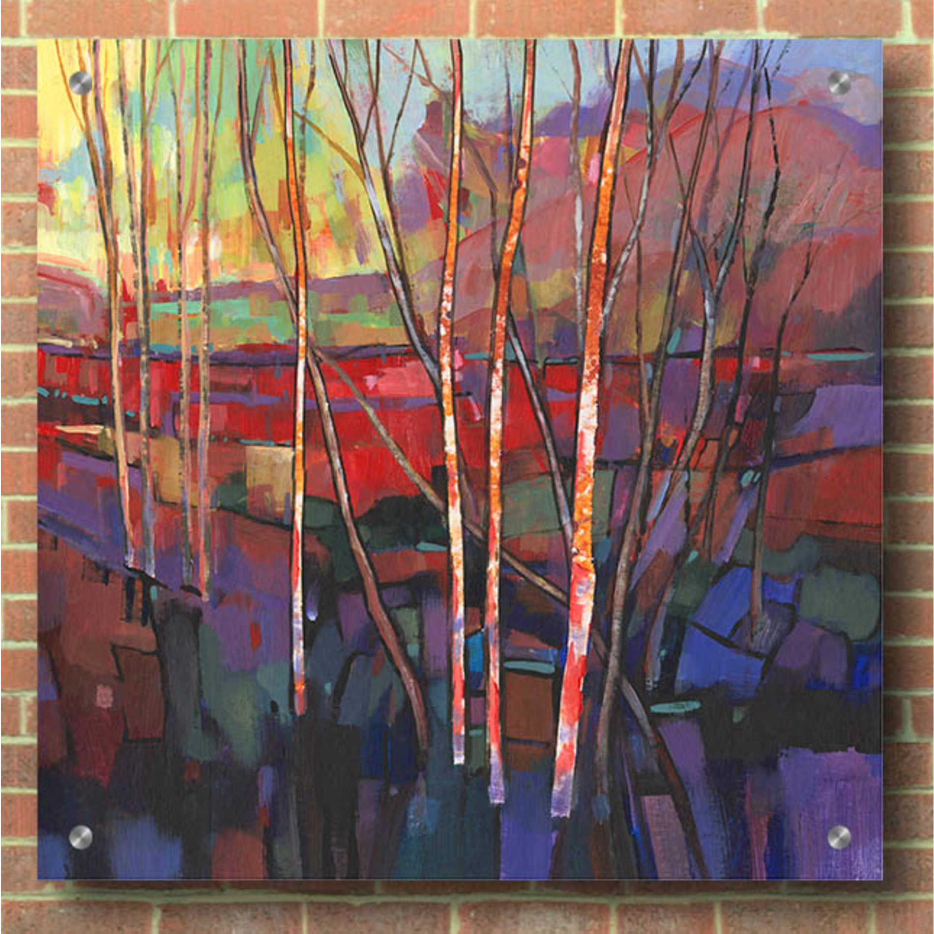 Epic Art 'Patchwork Trees I' by Tim O'Toole, Acrylic Glass Wall Art,36x36