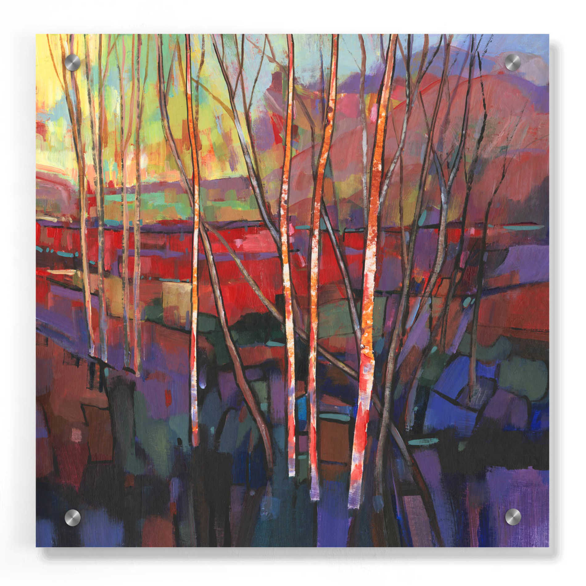Epic Art 'Patchwork Trees I' by Tim O'Toole, Acrylic Glass Wall Art,36x36