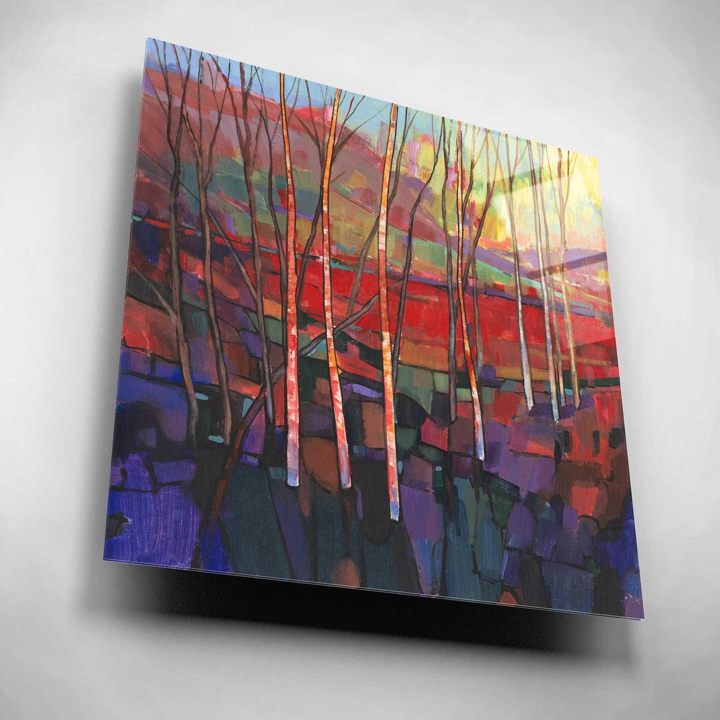 Epic Art 'Patchwork Trees II' by Tim O'Toole, Acrylic Glass Wall Art,12x12