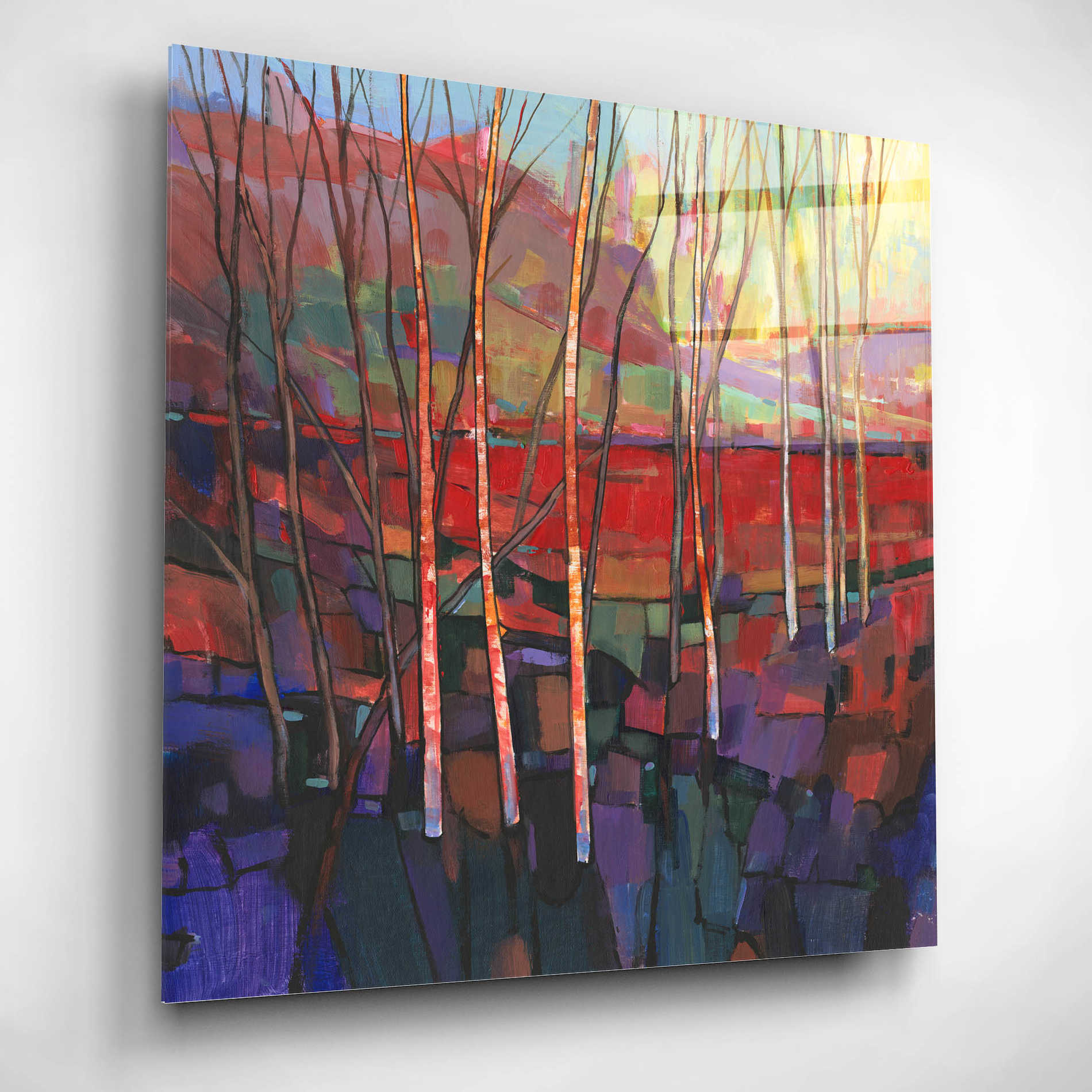 Epic Art 'Patchwork Trees II' by Tim O'Toole, Acrylic Glass Wall Art,12x12