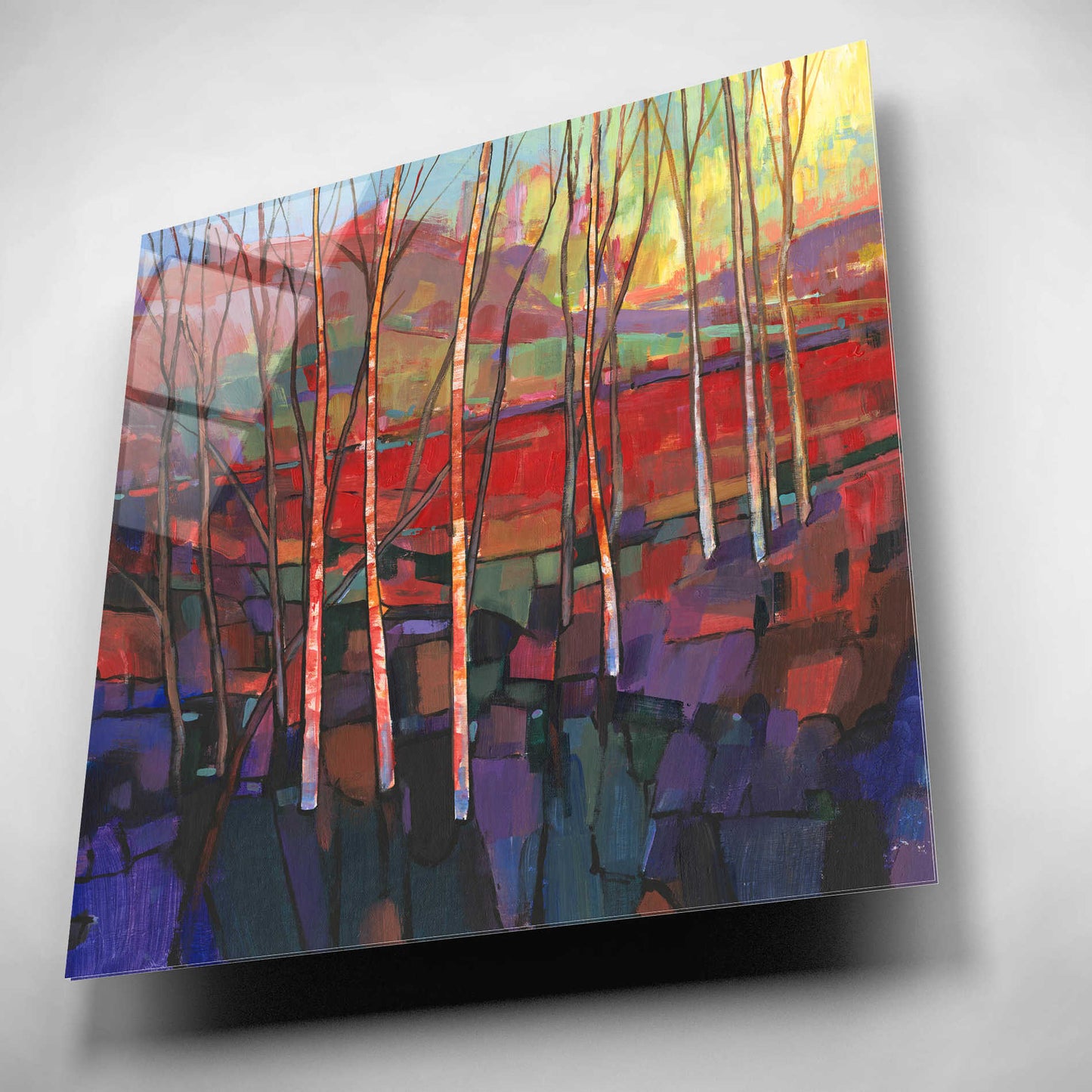 Epic Art 'Patchwork Trees II' by Tim O'Toole, Acrylic Glass Wall Art,12x12