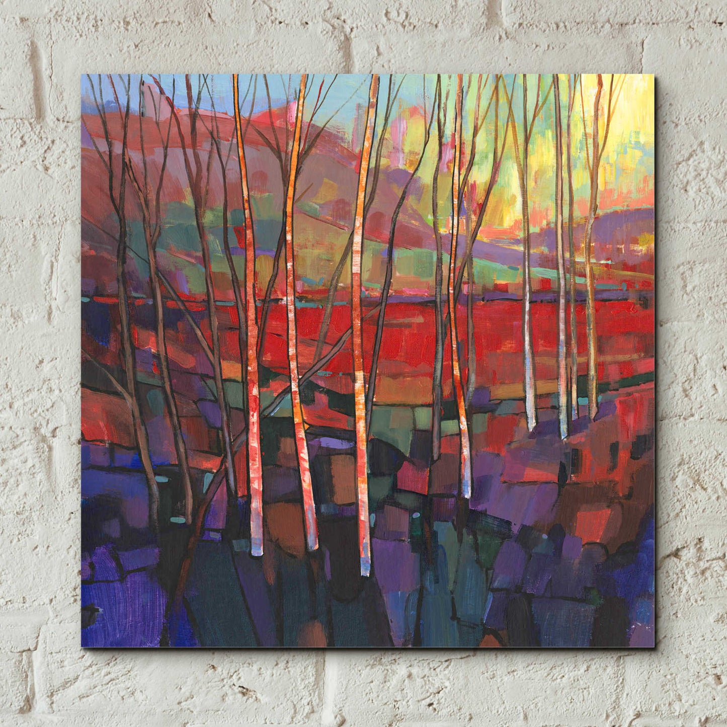 Epic Art 'Patchwork Trees II' by Tim O'Toole, Acrylic Glass Wall Art,12x12