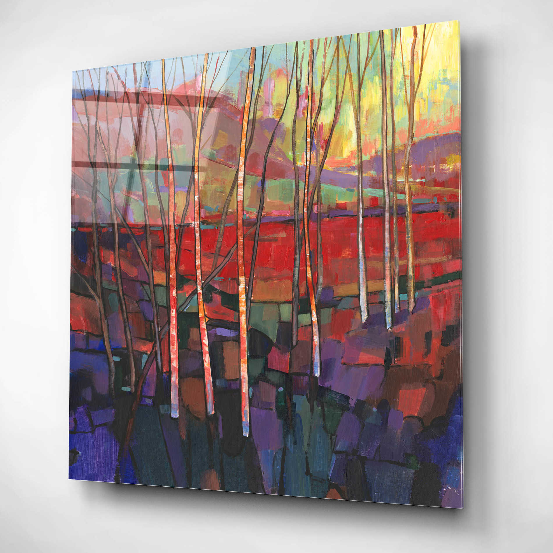 Epic Art 'Patchwork Trees II' by Tim O'Toole, Acrylic Glass Wall Art,12x12