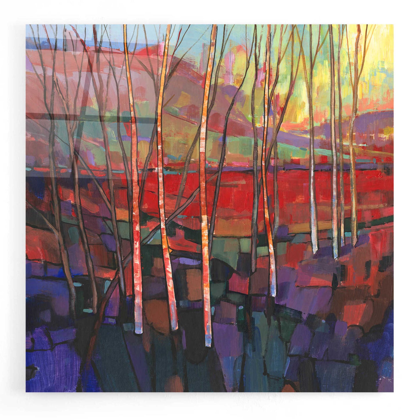 Epic Art 'Patchwork Trees II' by Tim O'Toole, Acrylic Glass Wall Art,24x24