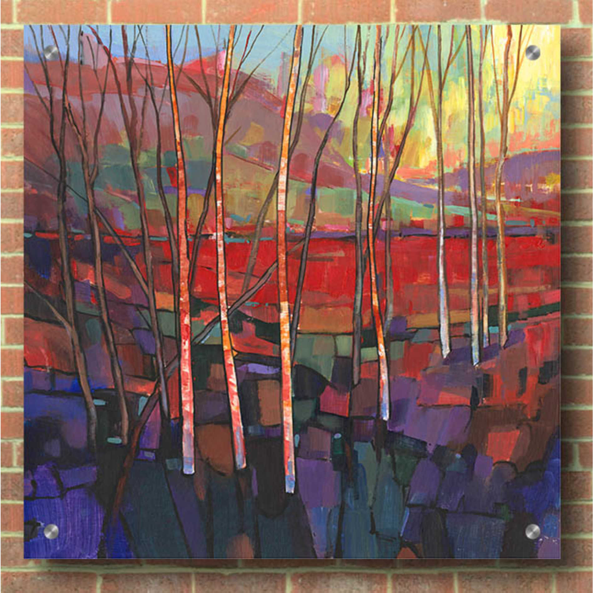 Epic Art 'Patchwork Trees II' by Tim O'Toole, Acrylic Glass Wall Art,36x36