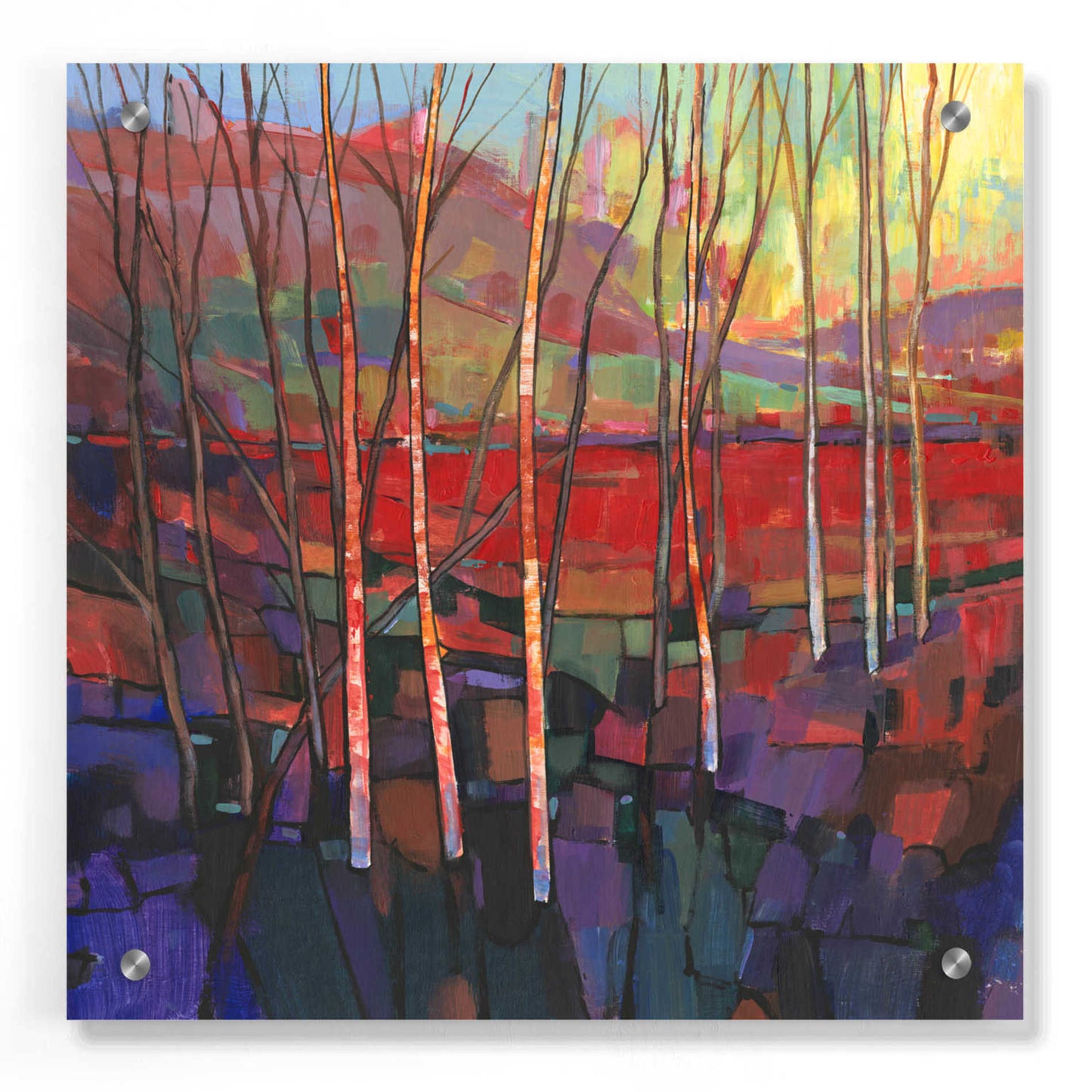 Epic Art 'Patchwork Trees II' by Tim O'Toole, Acrylic Glass Wall Art,36x36
