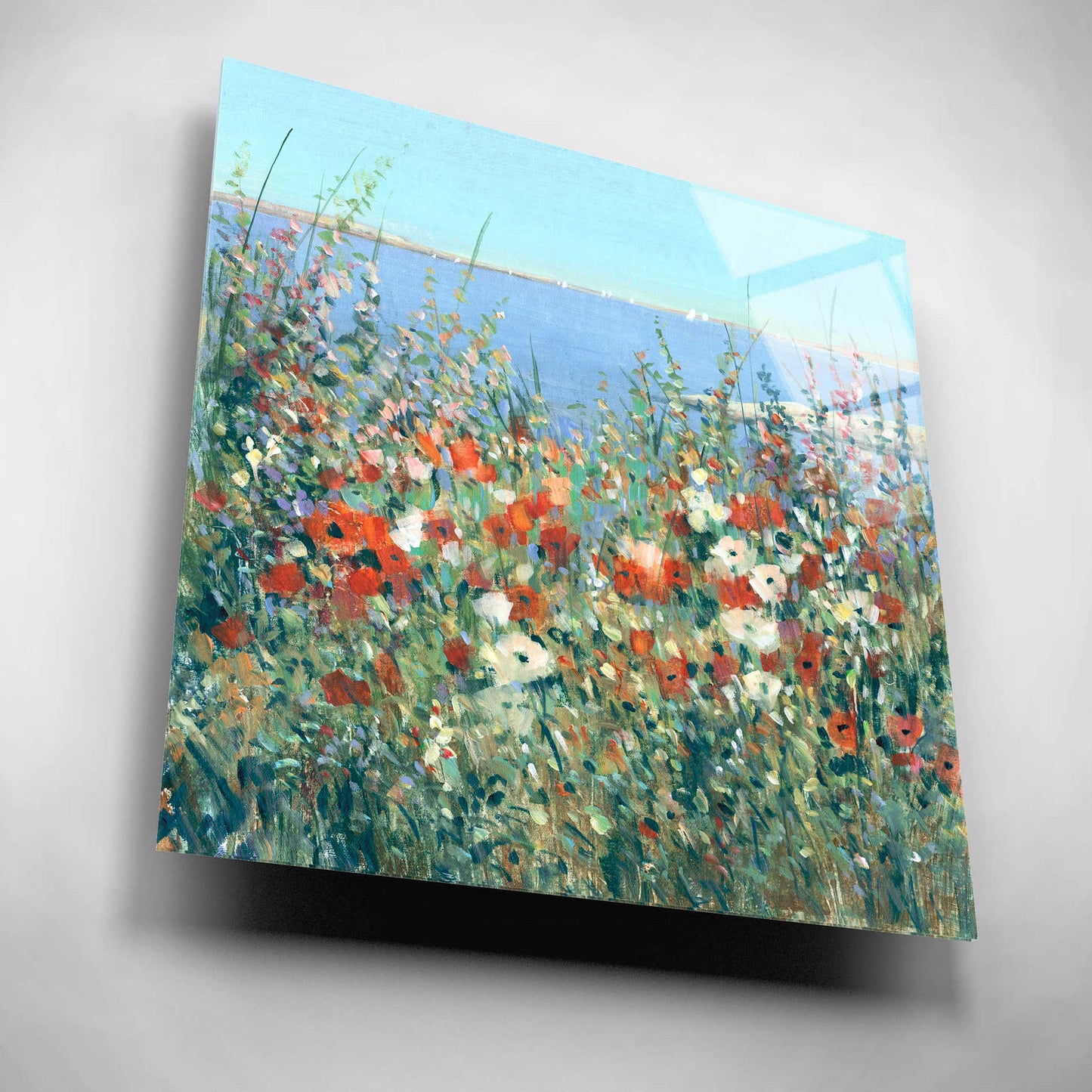 Epic Art 'Seaside Garden I' by Tim O'Toole, Acrylic Glass Wall Art,12x12