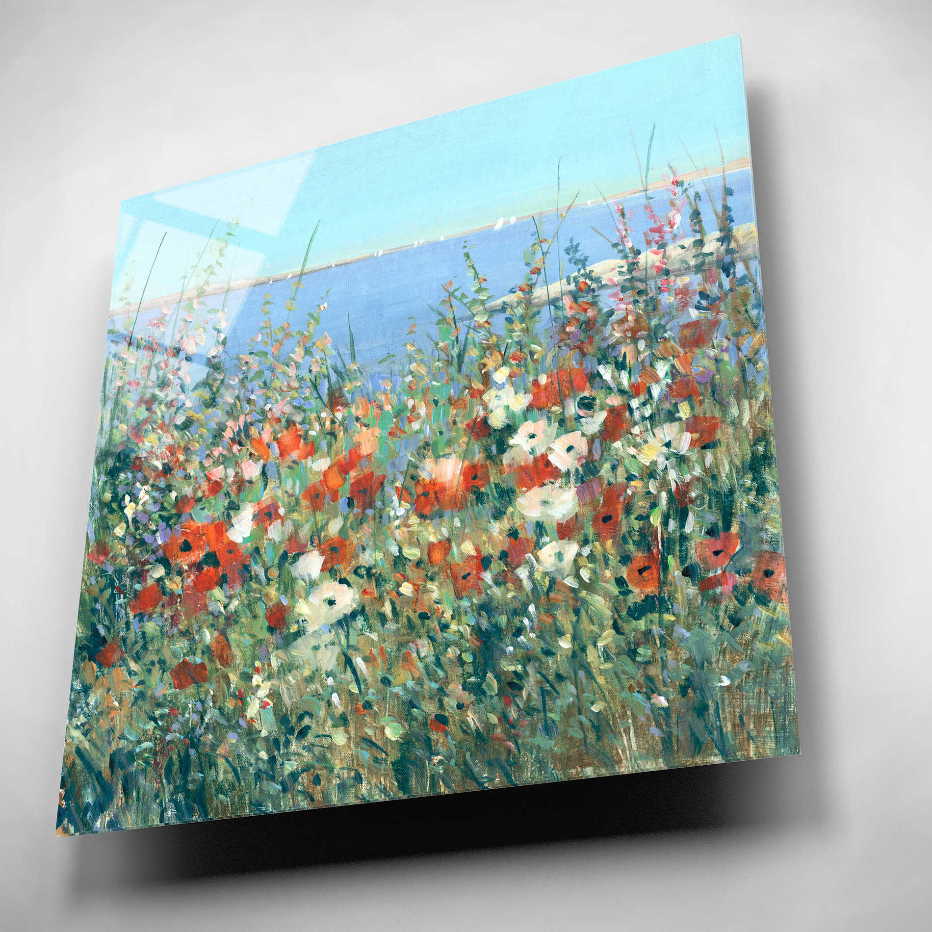 Epic Art 'Seaside Garden I' by Tim O'Toole, Acrylic Glass Wall Art,12x12