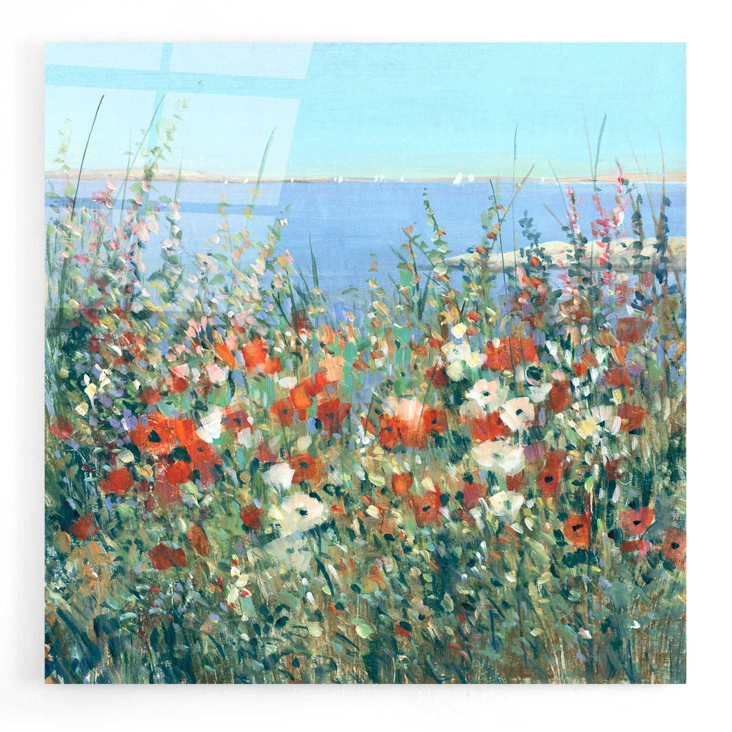 Epic Art 'Seaside Garden I' by Tim O'Toole, Acrylic Glass Wall Art,24x24