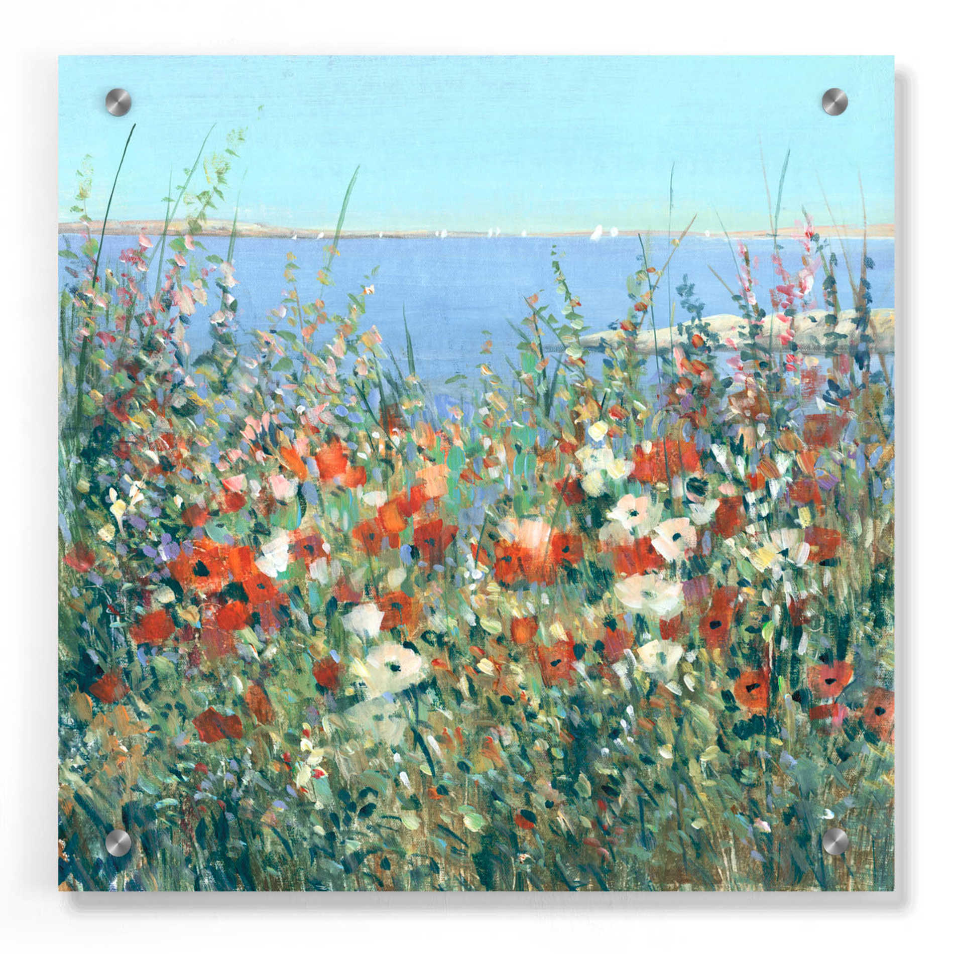 Epic Art 'Seaside Garden I' by Tim O'Toole, Acrylic Glass Wall Art,36x36