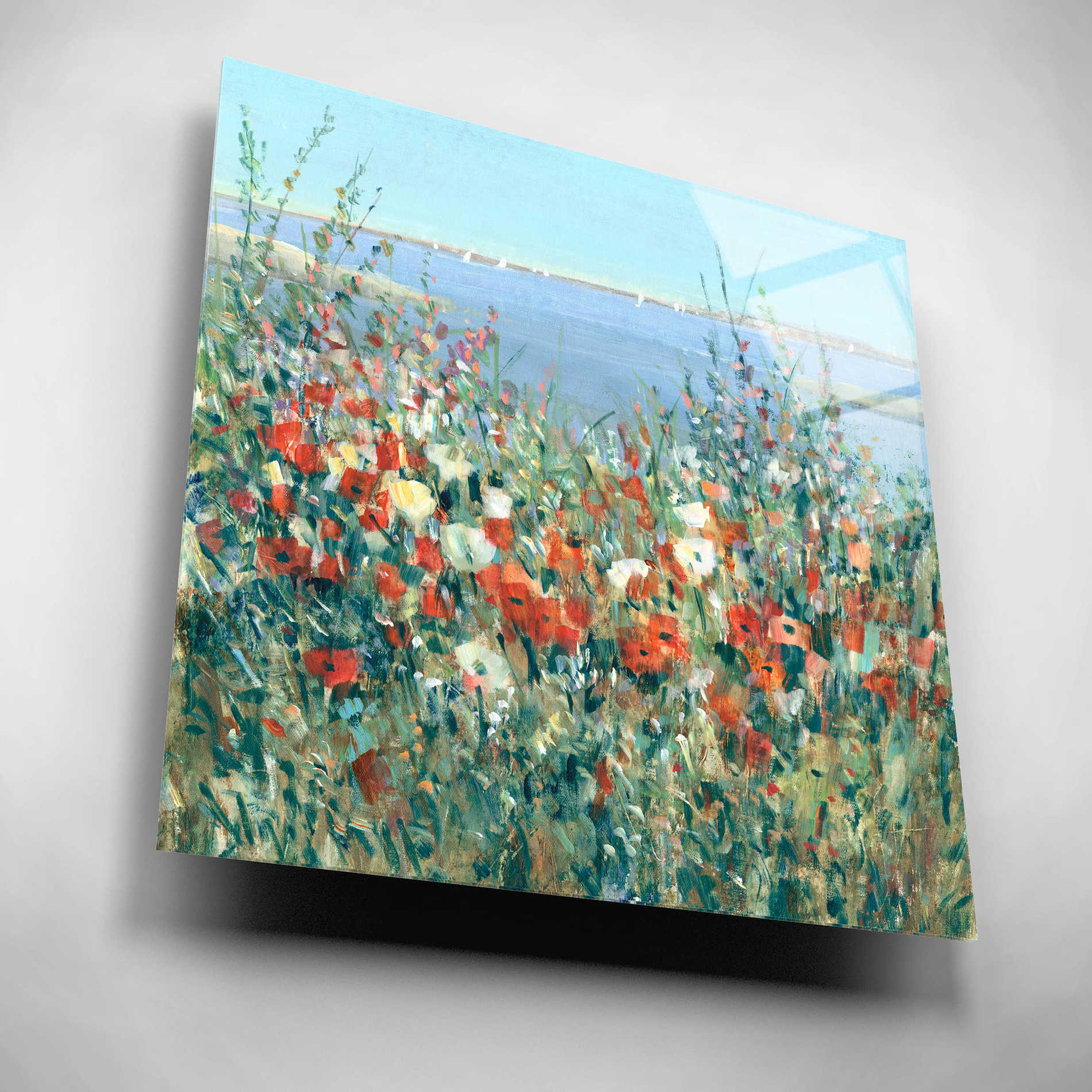 Epic Art 'Seaside Garden II' by Tim O'Toole, Acrylic Glass Wall Art,12x12