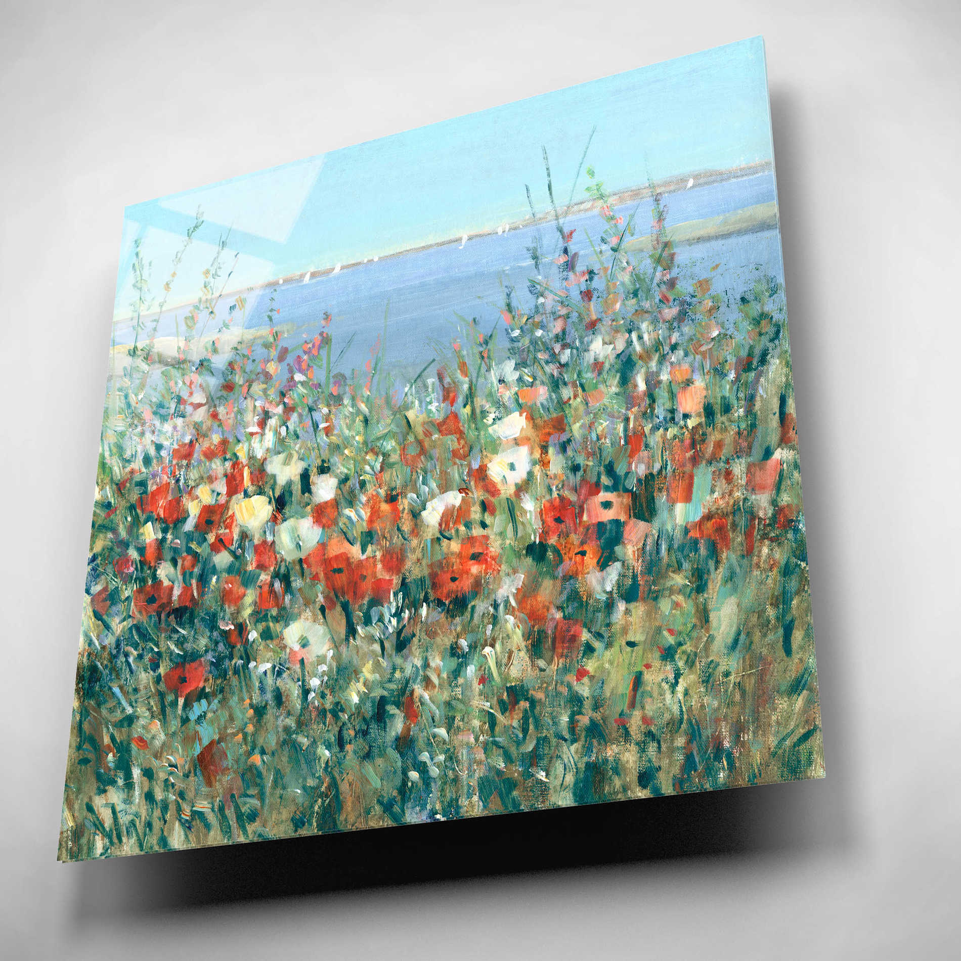 Epic Art 'Seaside Garden II' by Tim O'Toole, Acrylic Glass Wall Art,12x12