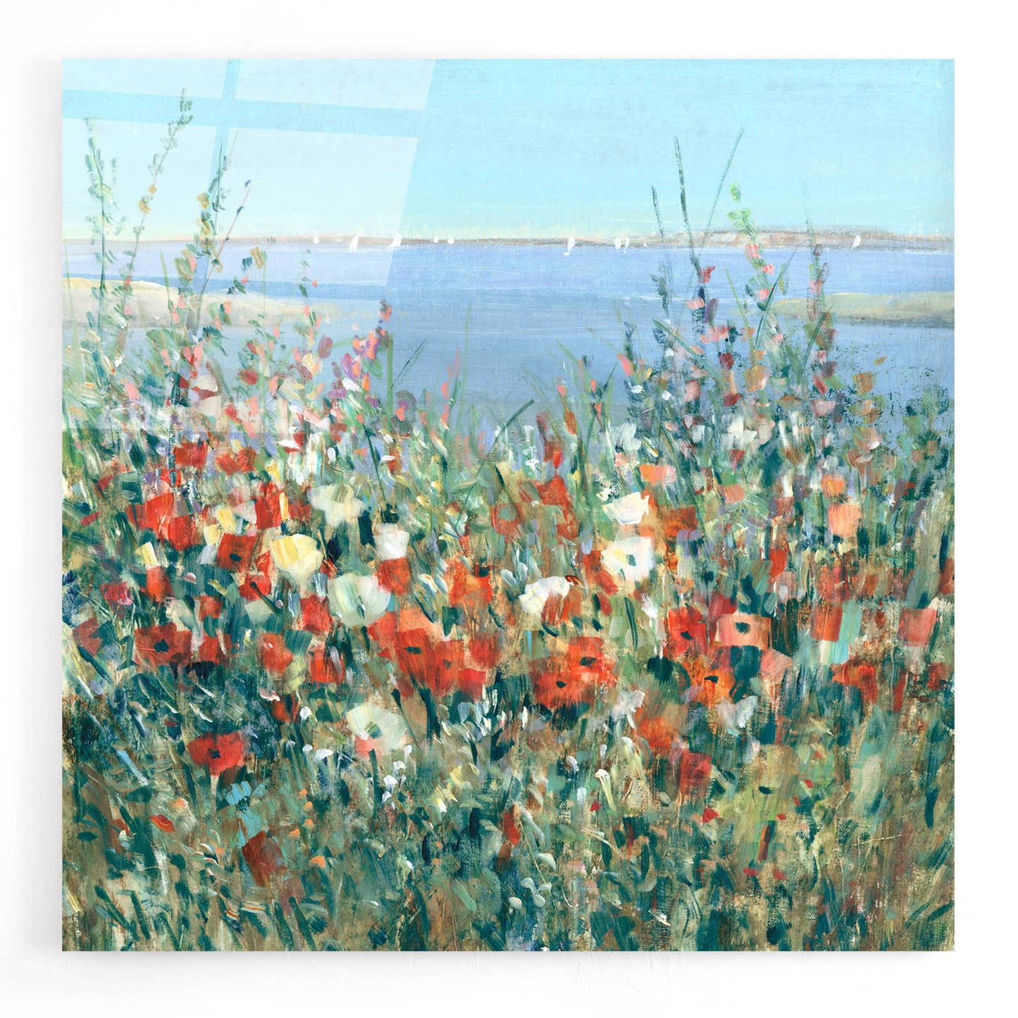 Epic Art 'Seaside Garden II' by Tim O'Toole, Acrylic Glass Wall Art,24x24