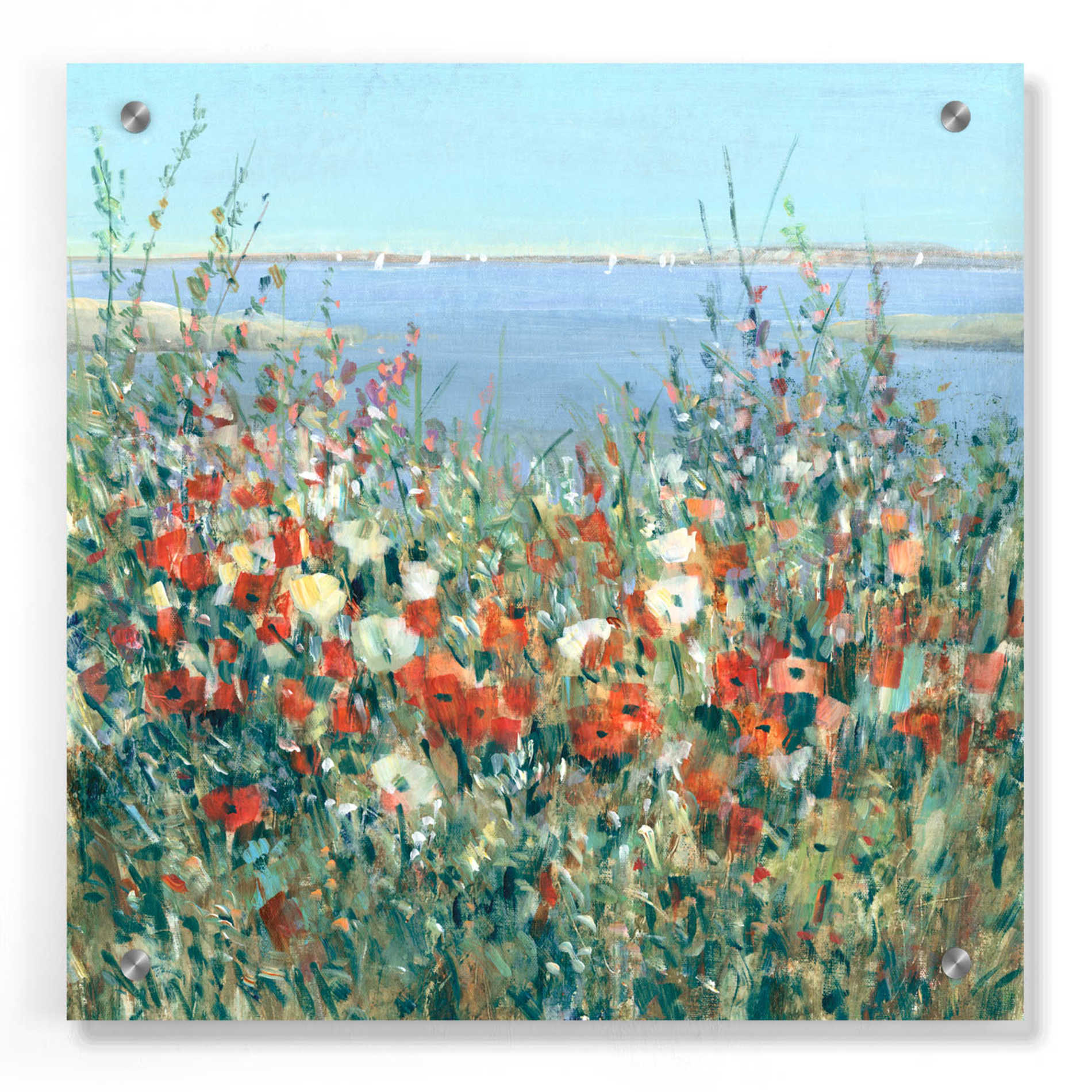 Epic Art 'Seaside Garden II' by Tim O'Toole, Acrylic Glass Wall Art,36x36