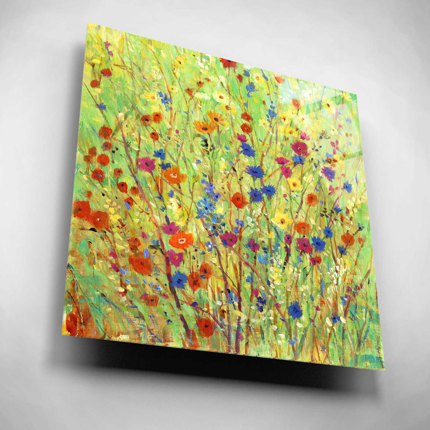 Epic Art 'Wildflower Patch II' by Tim O'Toole, Acrylic Glass Wall Art,12x12