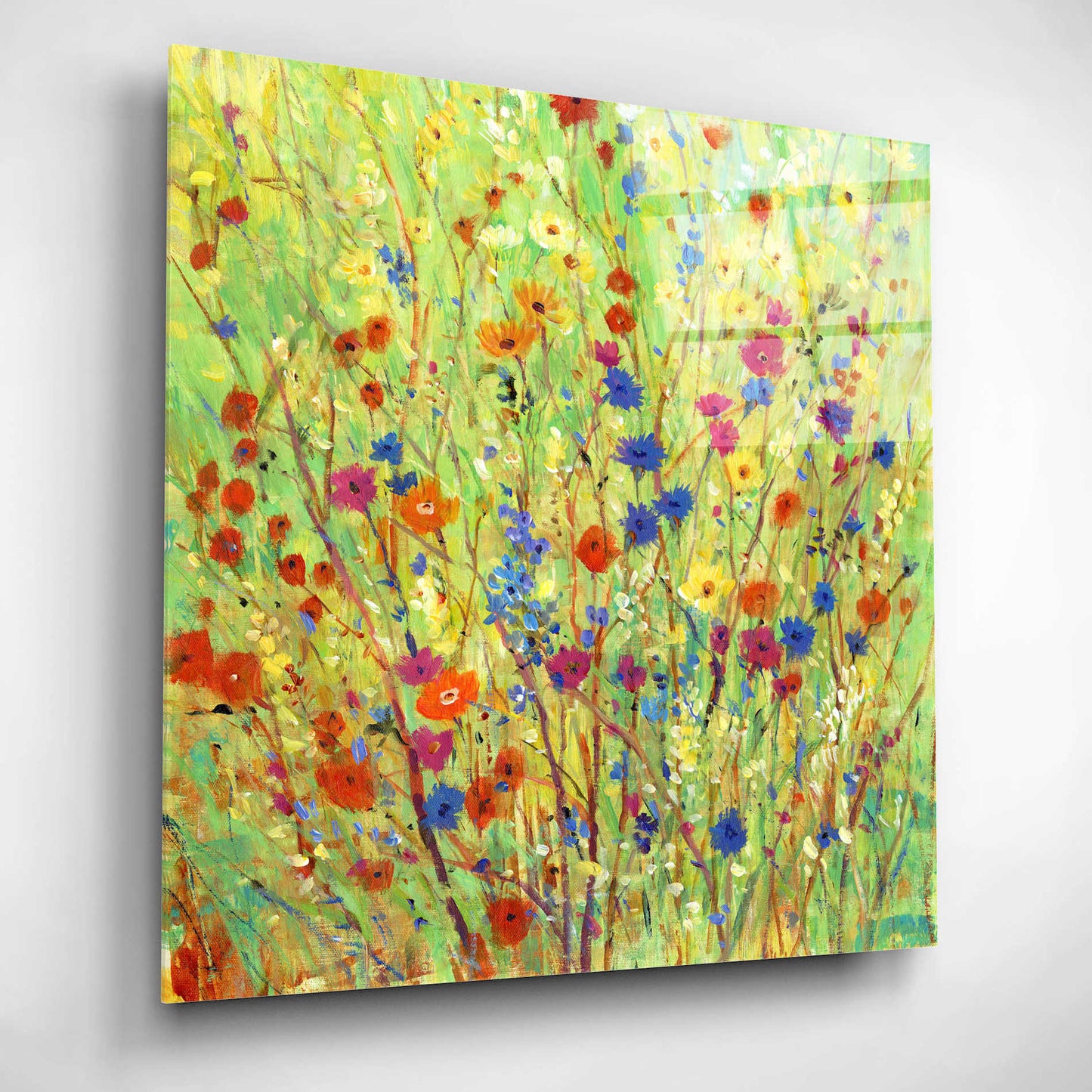 Epic Art 'Wildflower Patch II' by Tim O'Toole, Acrylic Glass Wall Art,12x12