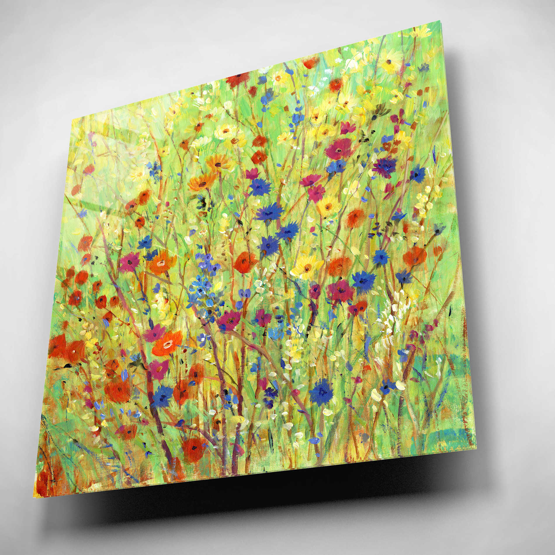 Epic Art 'Wildflower Patch II' by Tim O'Toole, Acrylic Glass Wall Art,12x12