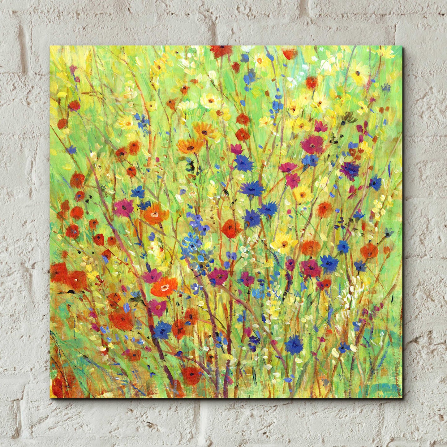 Epic Art 'Wildflower Patch II' by Tim O'Toole, Acrylic Glass Wall Art,12x12