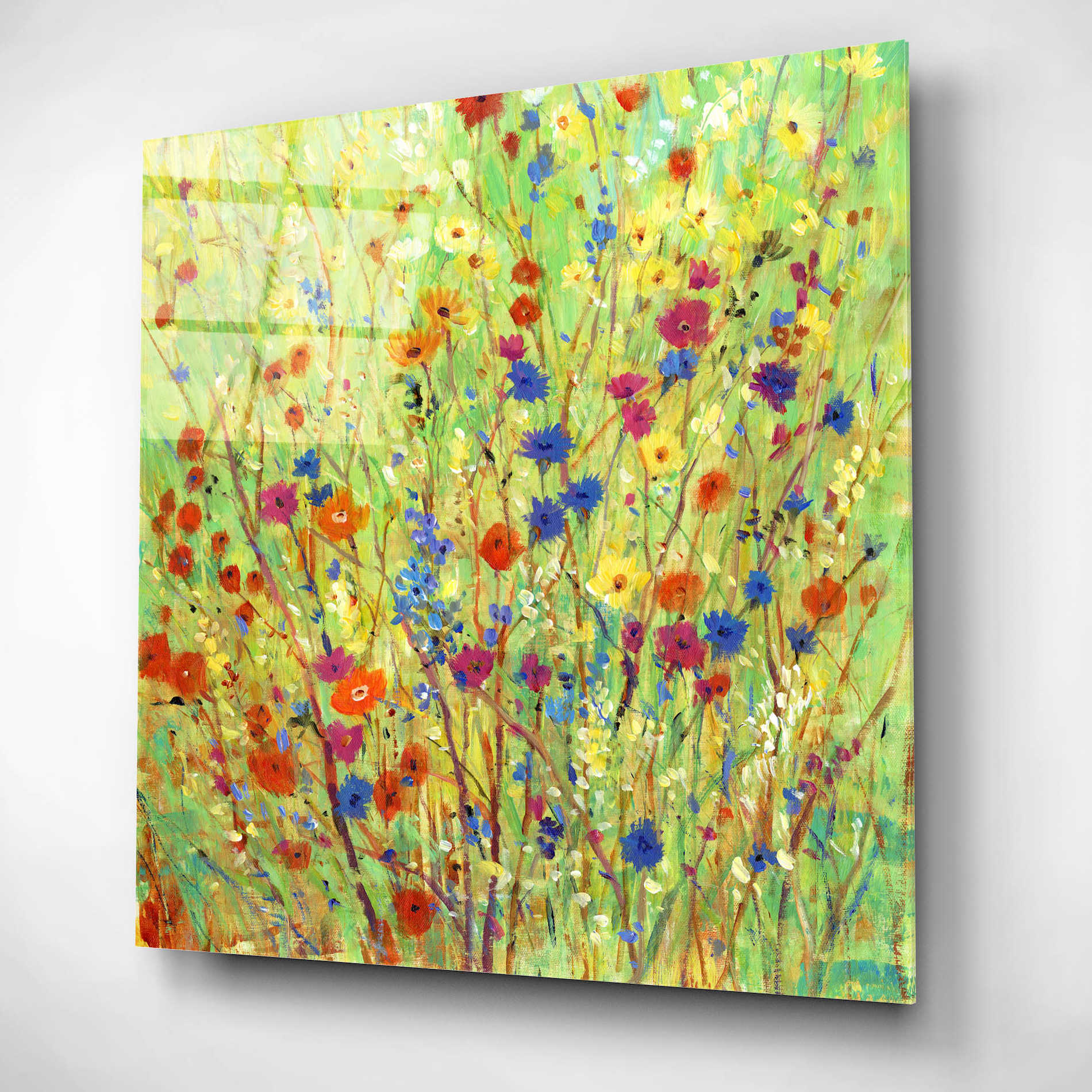 Epic Art 'Wildflower Patch II' by Tim O'Toole, Acrylic Glass Wall Art,12x12