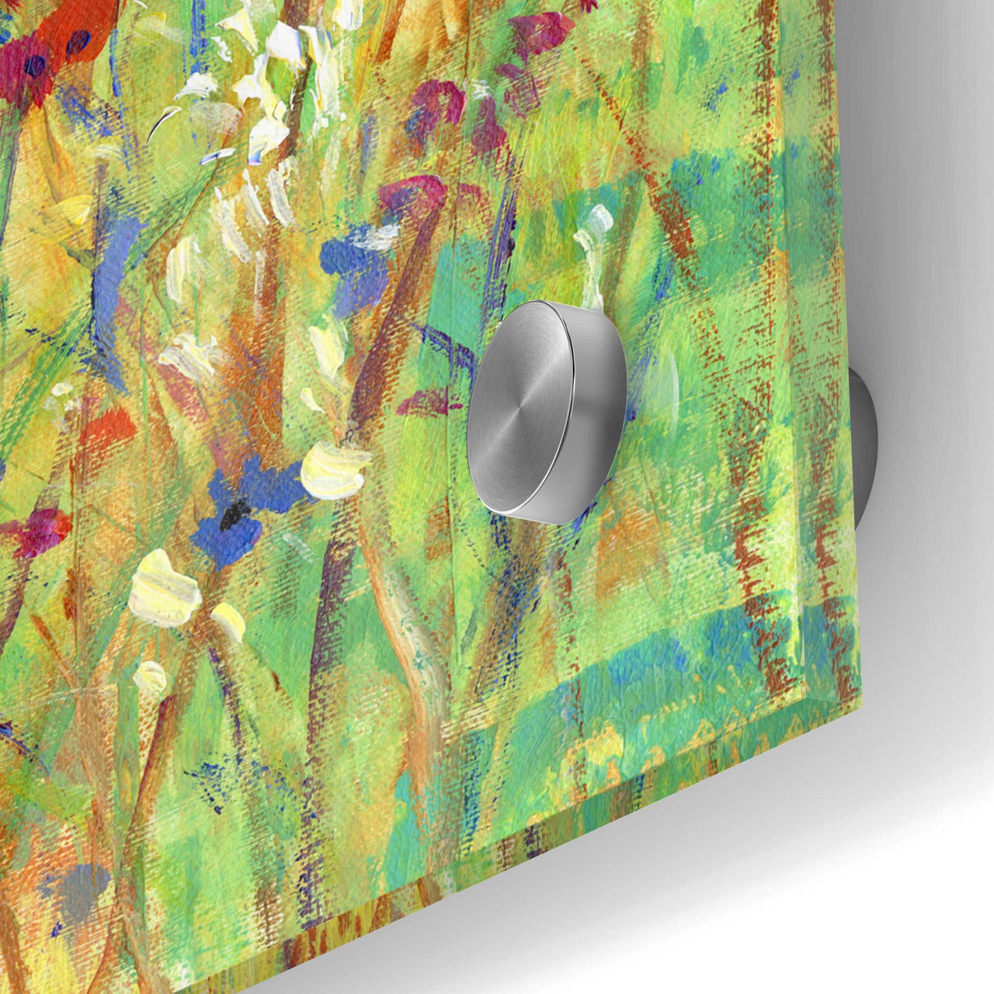 Epic Art 'Wildflower Patch II' by Tim O'Toole, Acrylic Glass Wall Art,24x24