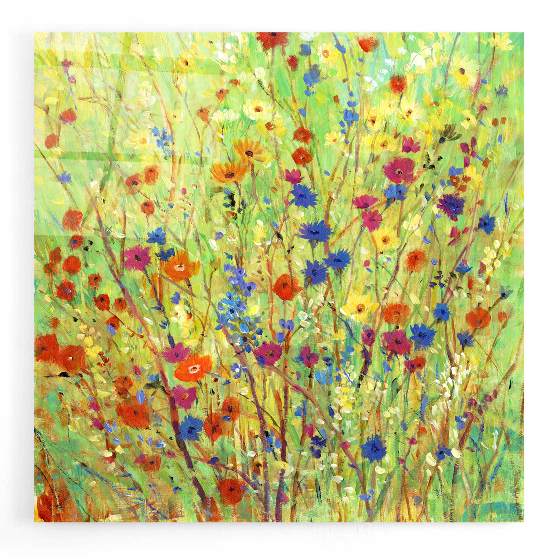 Epic Art 'Wildflower Patch II' by Tim O'Toole, Acrylic Glass Wall Art,24x24