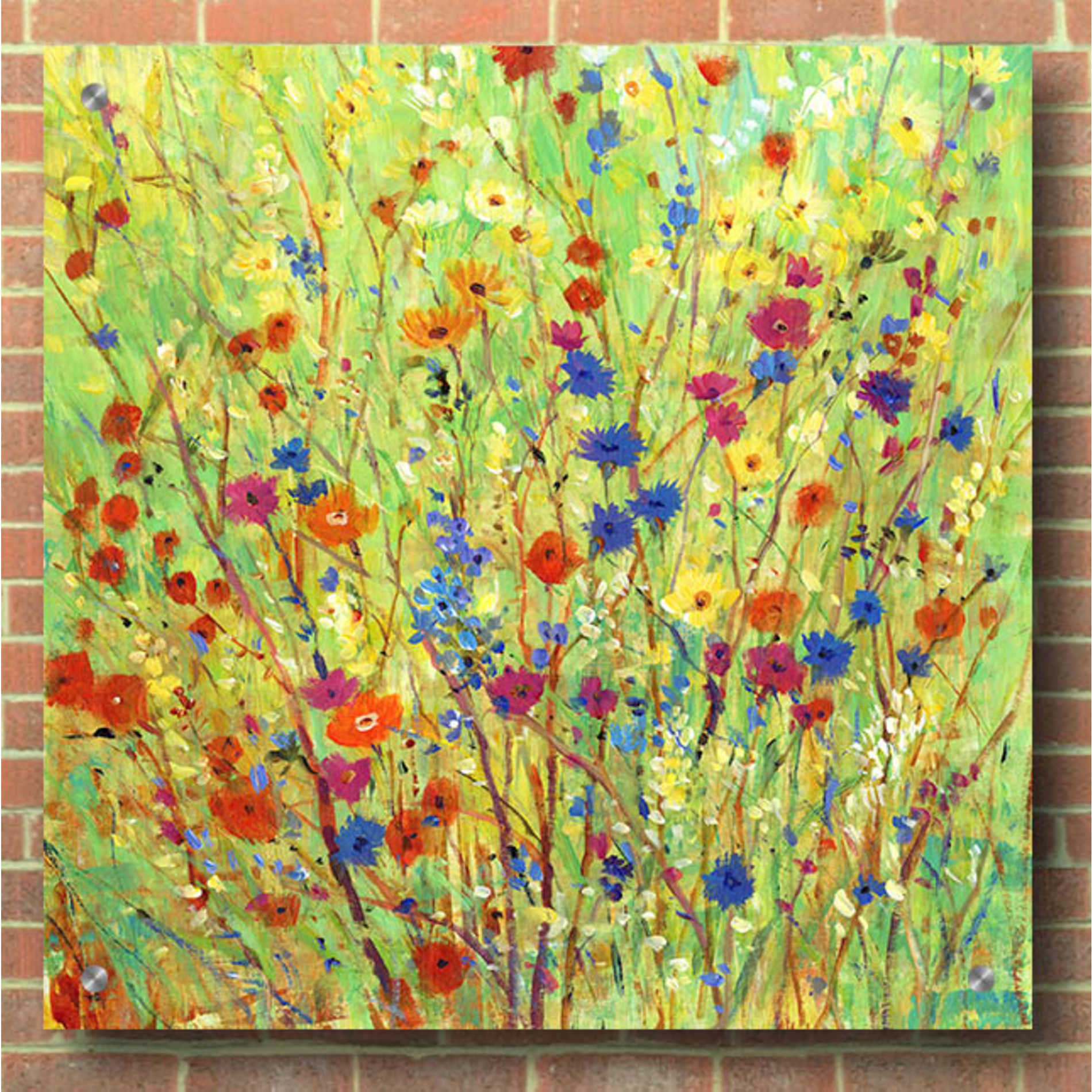 Epic Art 'Wildflower Patch II' by Tim O'Toole, Acrylic Glass Wall Art,36x36