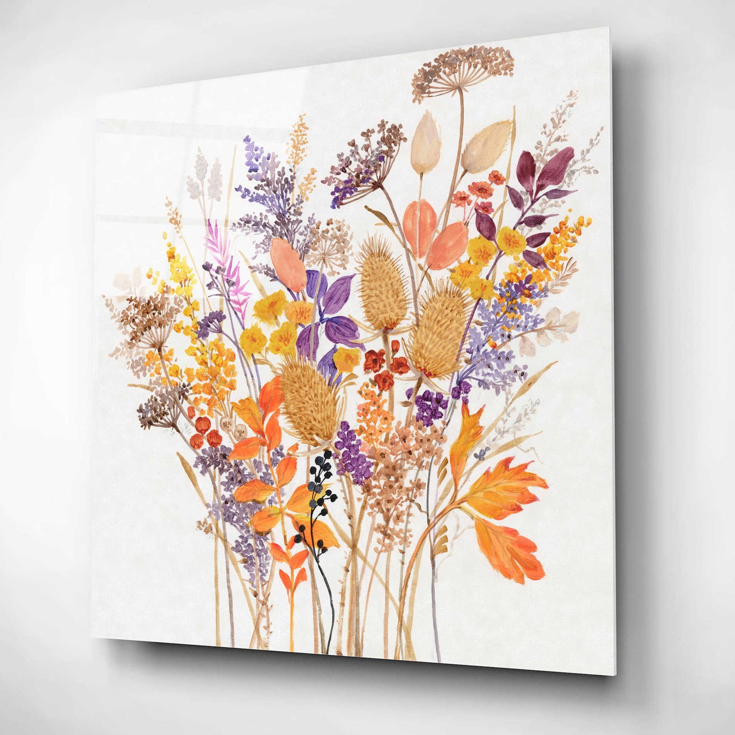 Epic Art 'Dried Arrangement I' by Tim O'Toole, Acrylic Glass Wall Art