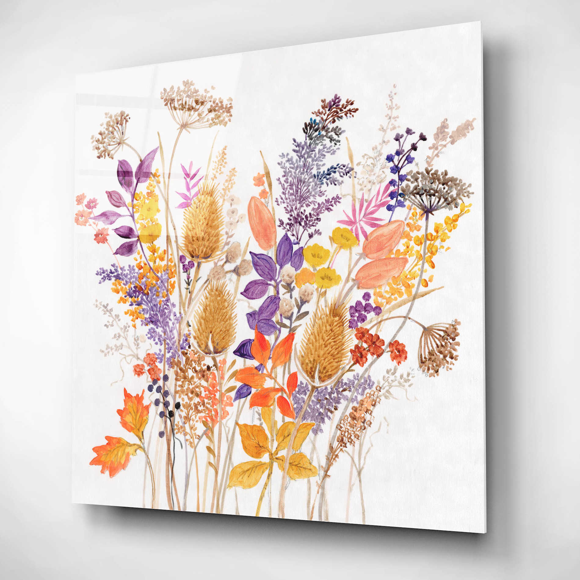 Epic Art 'Dried Arrangement II' by Tim O'Toole, Acrylic Glass Wall Art