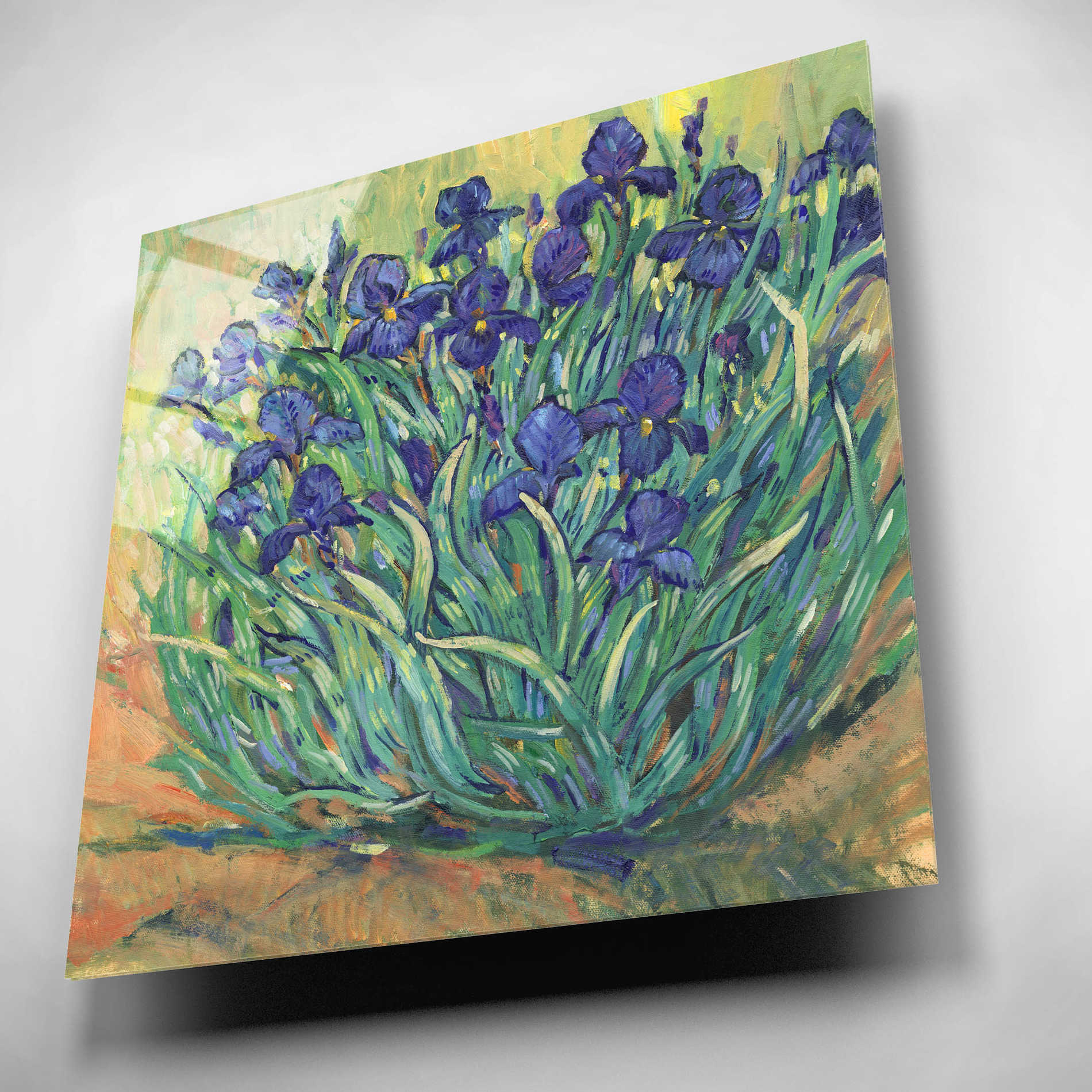 Epic Art 'Irises in Bloom I' by Tim O'Toole, Acrylic Glass Wall Art,12x12