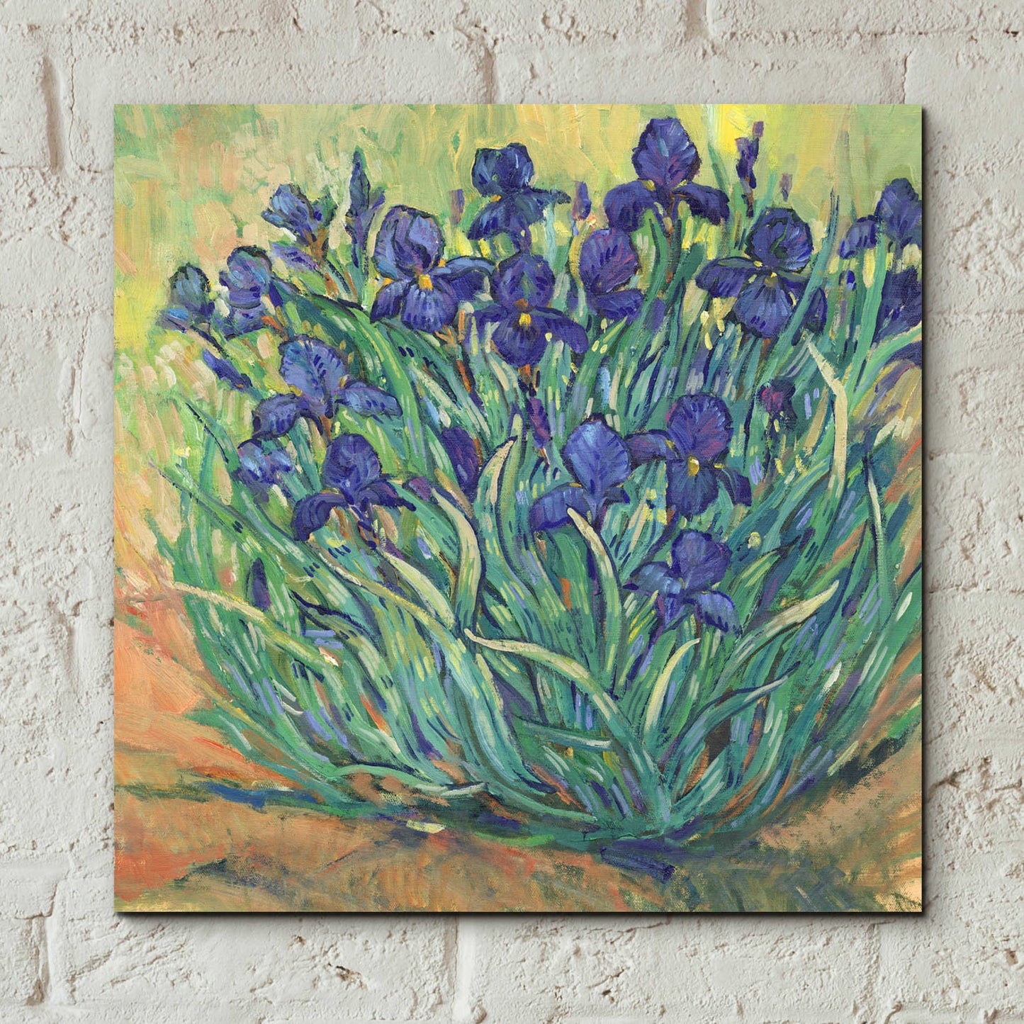 Epic Art 'Irises in Bloom I' by Tim O'Toole, Acrylic Glass Wall Art,12x12