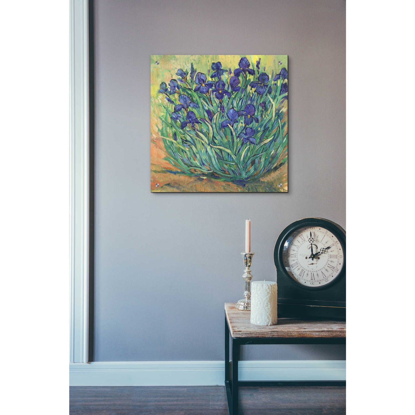Epic Art 'Irises in Bloom I' by Tim O'Toole, Acrylic Glass Wall Art,24x24