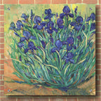 Epic Art 'Irises in Bloom I' by Tim O'Toole, Acrylic Glass Wall Art,36x36