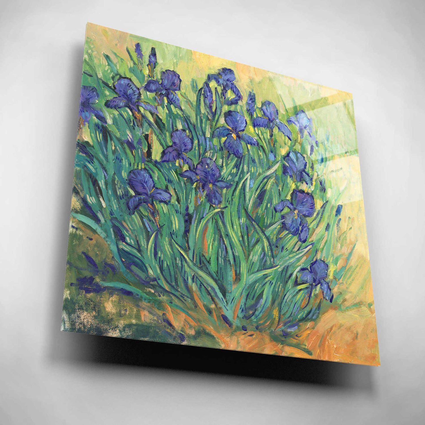 Epic Art 'Irises in  Bloom II' by Tim O'Toole, Acrylic Glass Wall Art,12x12