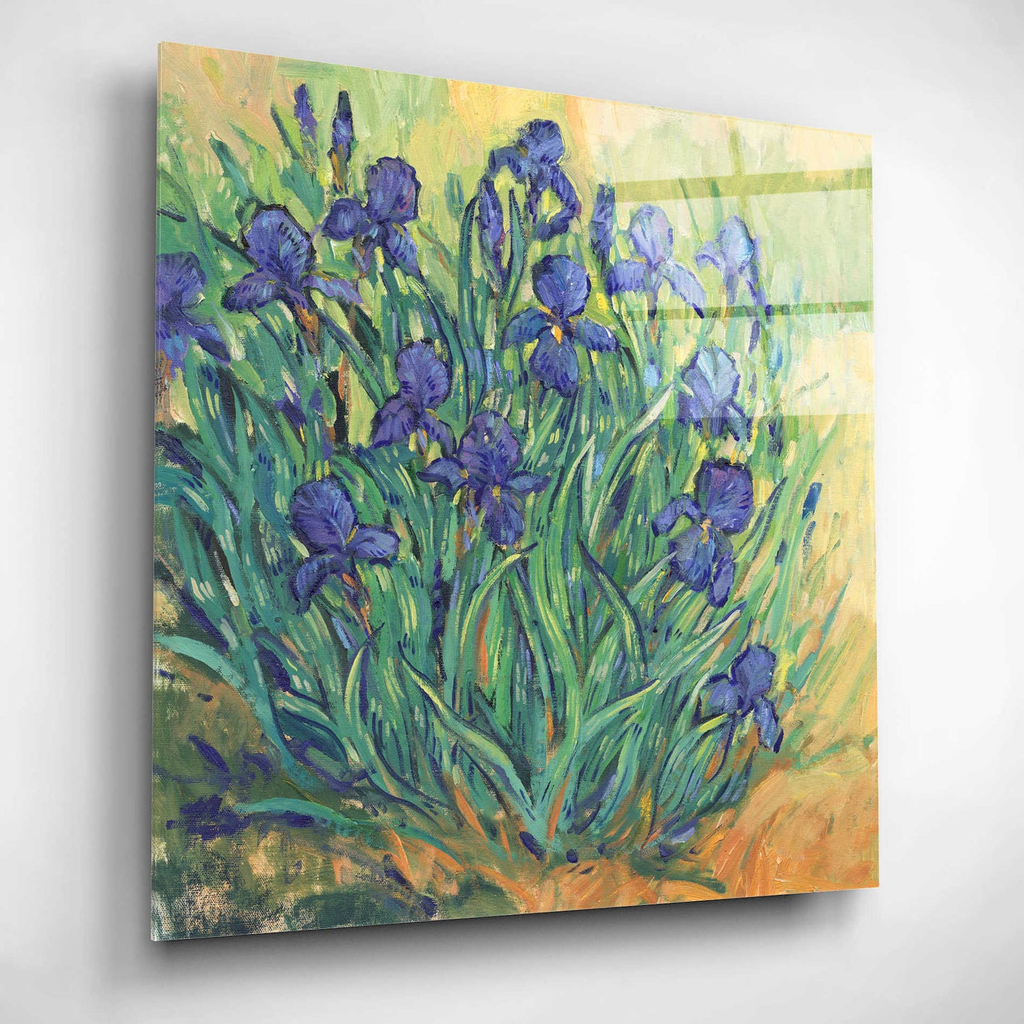 Epic Art 'Irises in  Bloom II' by Tim O'Toole, Acrylic Glass Wall Art,12x12