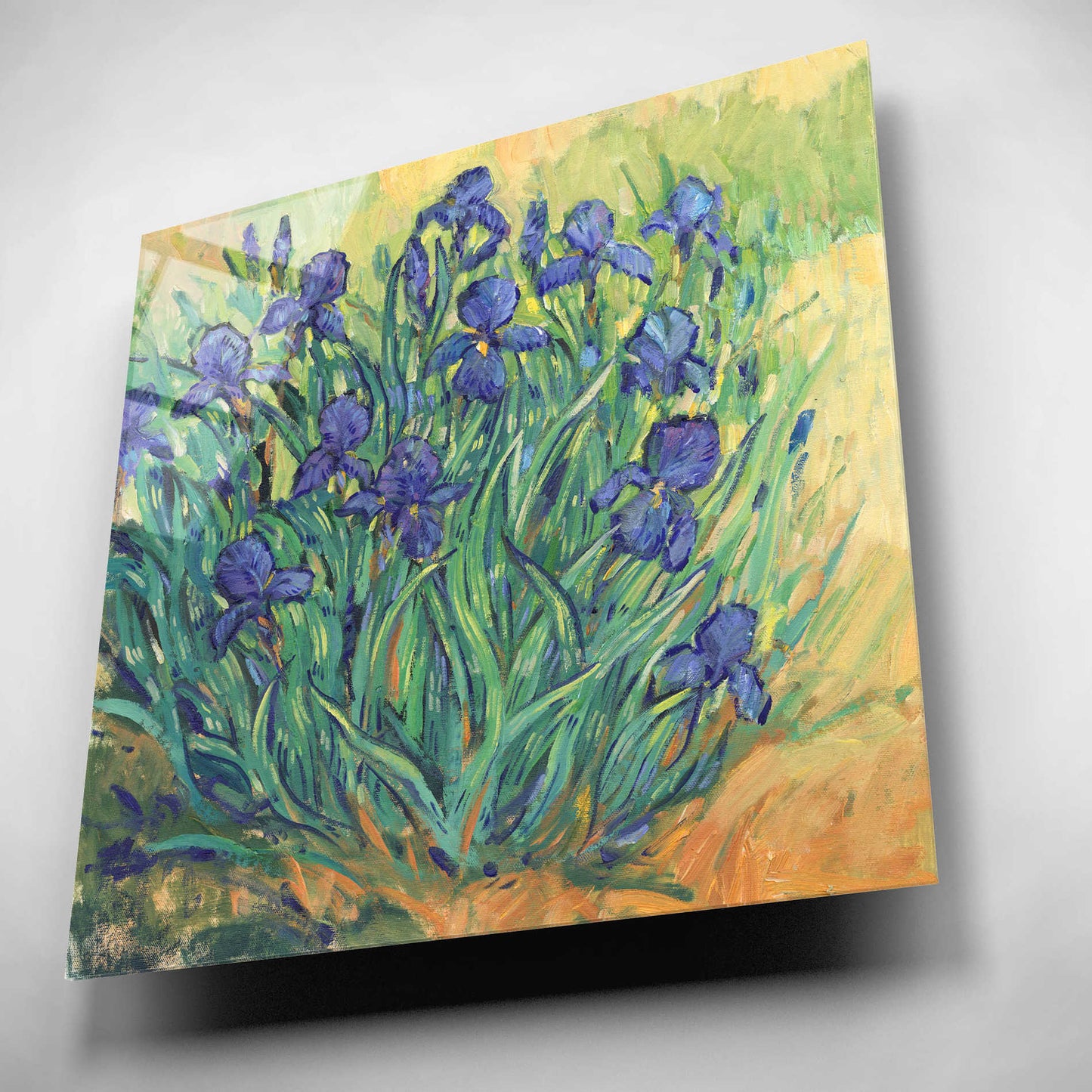 Epic Art 'Irises in  Bloom II' by Tim O'Toole, Acrylic Glass Wall Art,12x12