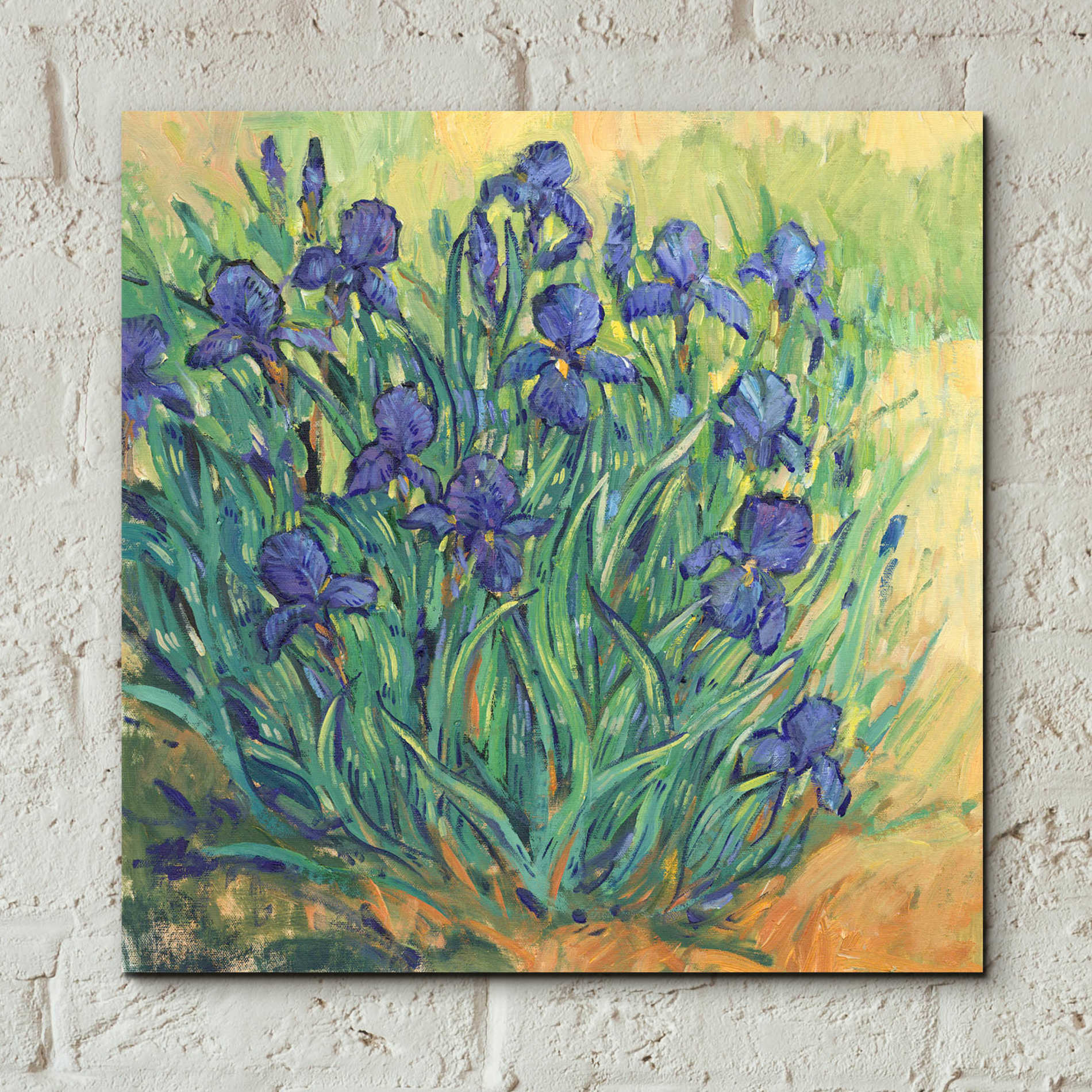 Epic Art 'Irises in  Bloom II' by Tim O'Toole, Acrylic Glass Wall Art,12x12