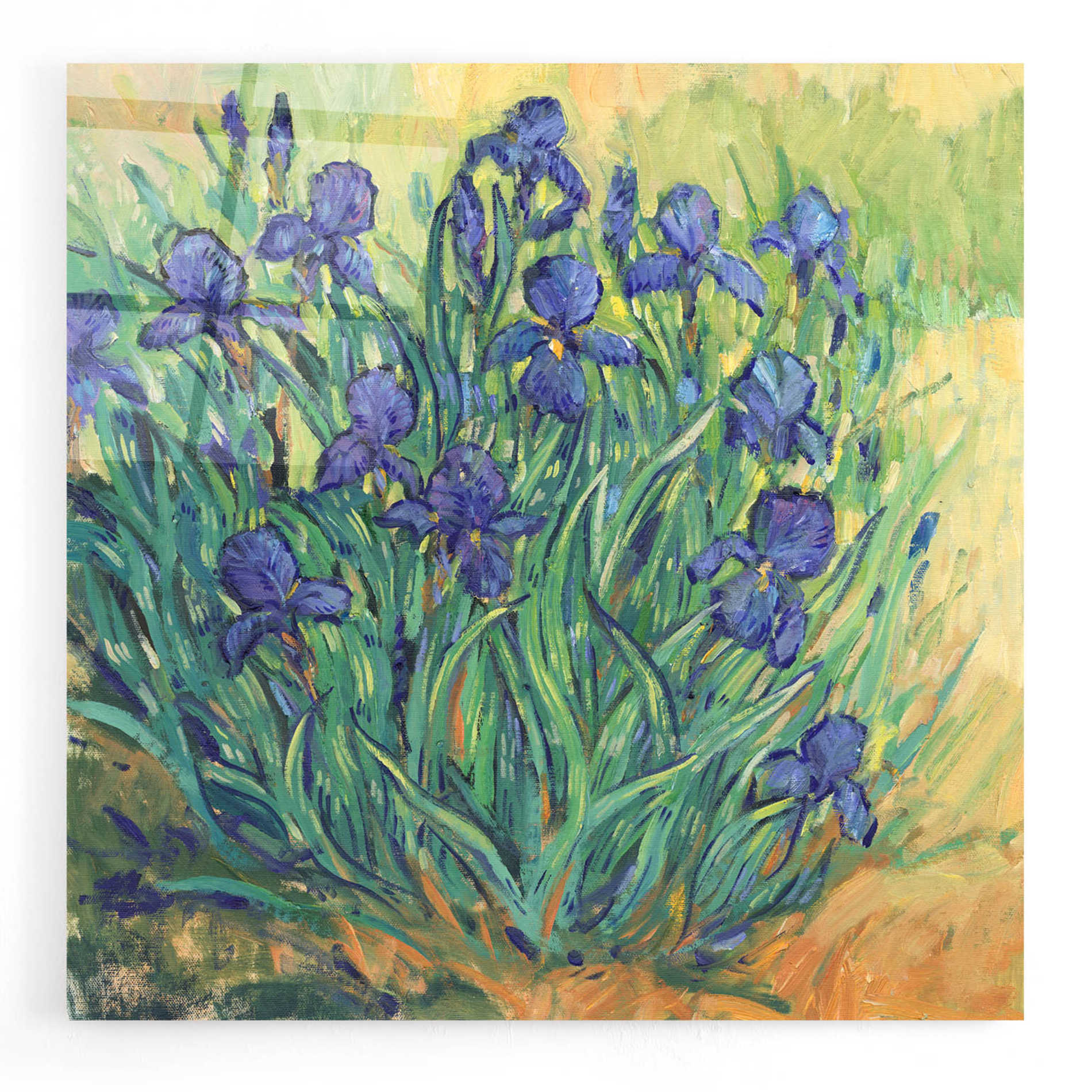 Epic Art 'Irises in  Bloom II' by Tim O'Toole, Acrylic Glass Wall Art,24x24