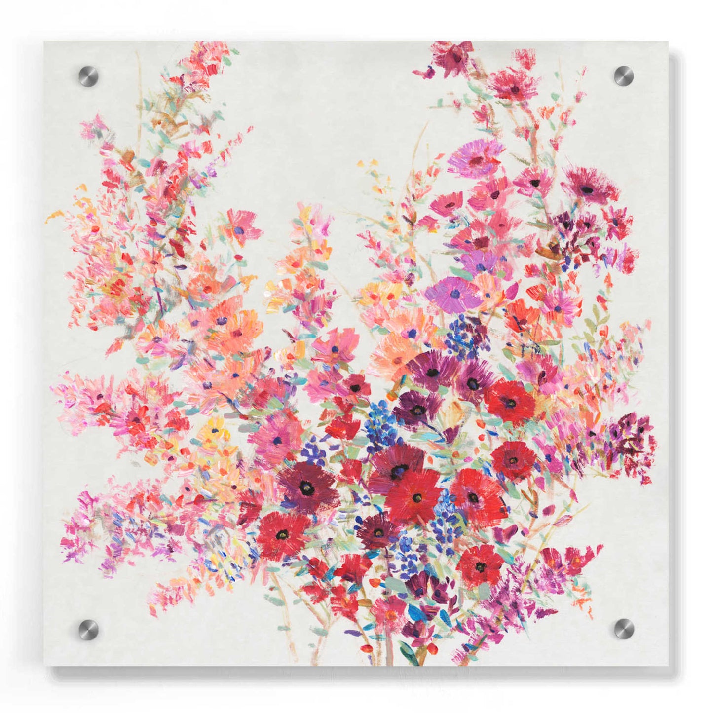 Epic Art 'Flowers on a Vine II' by Tim O'Toole, Acrylic Glass Wall Art,36x36