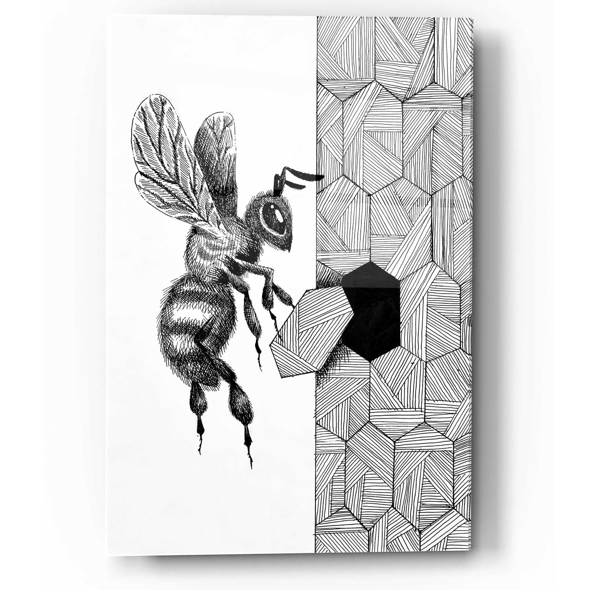 Epic Art 'Escher Bee ' by Avery Multer, Acrylic Glass Wall Art,12x16