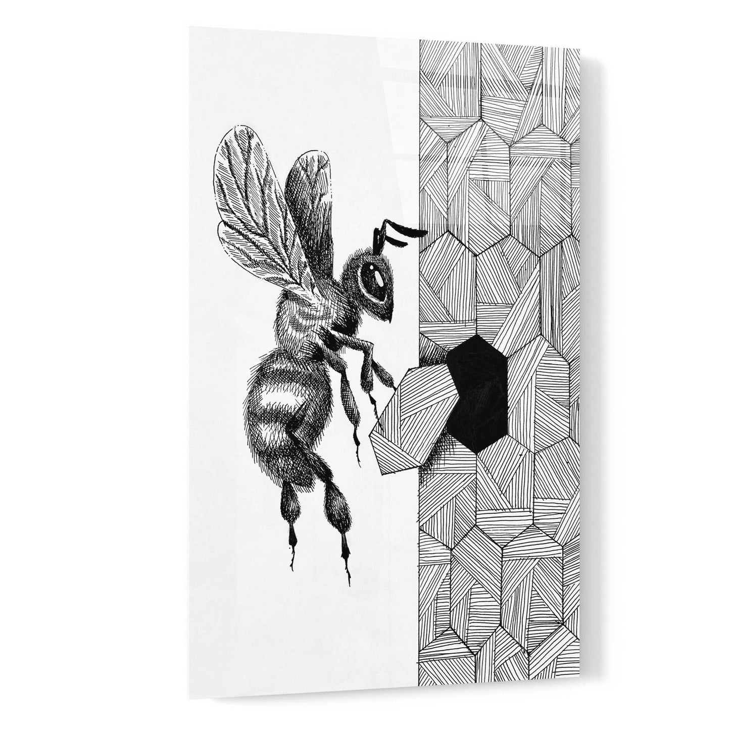 Epic Art 'Escher Bee ' by Avery Multer, Acrylic Glass Wall Art,16x24