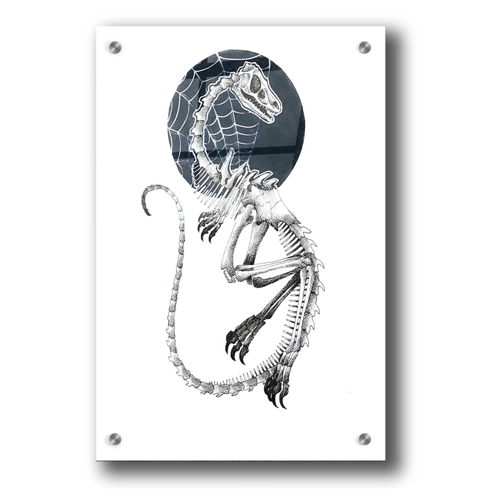 Epic Art 'Skeletal Velociraptor ' by Avery Multer, Acrylic Glass Wall Art,24x36